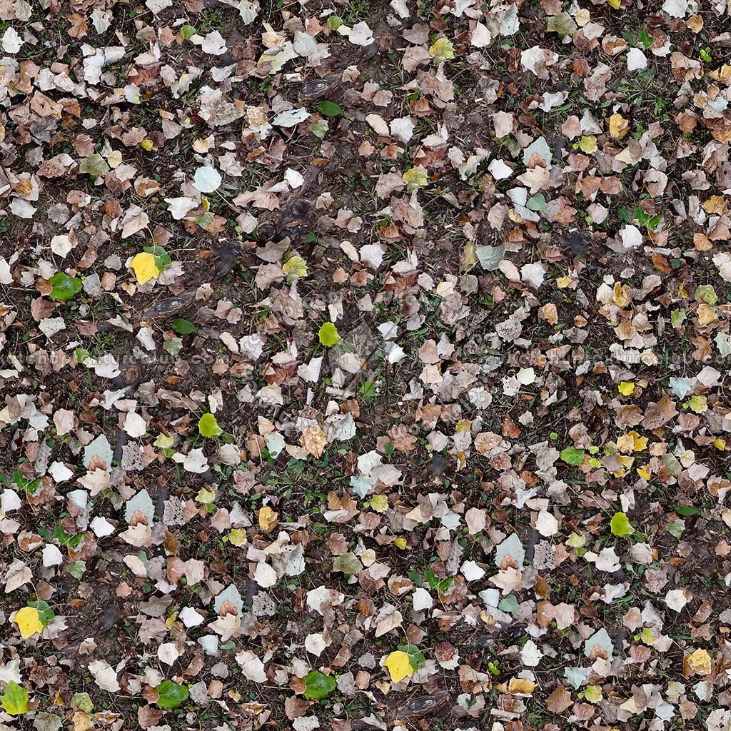 Textures   -   NATURE ELEMENTS   -   VEGETATION   -   Leaves dead  - Leaves dead texture seamless 20523 (seamless)