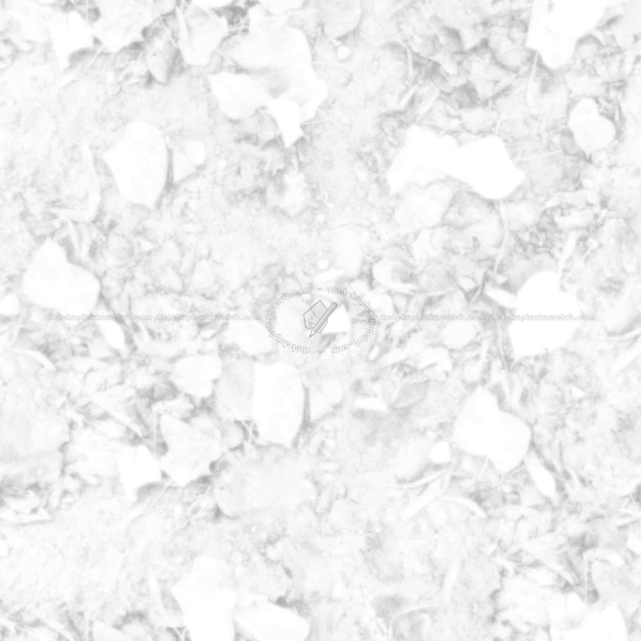 Textures   -   NATURE ELEMENTS   -   VEGETATION   -   Leaves dead  - Ground with dead leaves texture seamless 20525 - Ambient occlusion