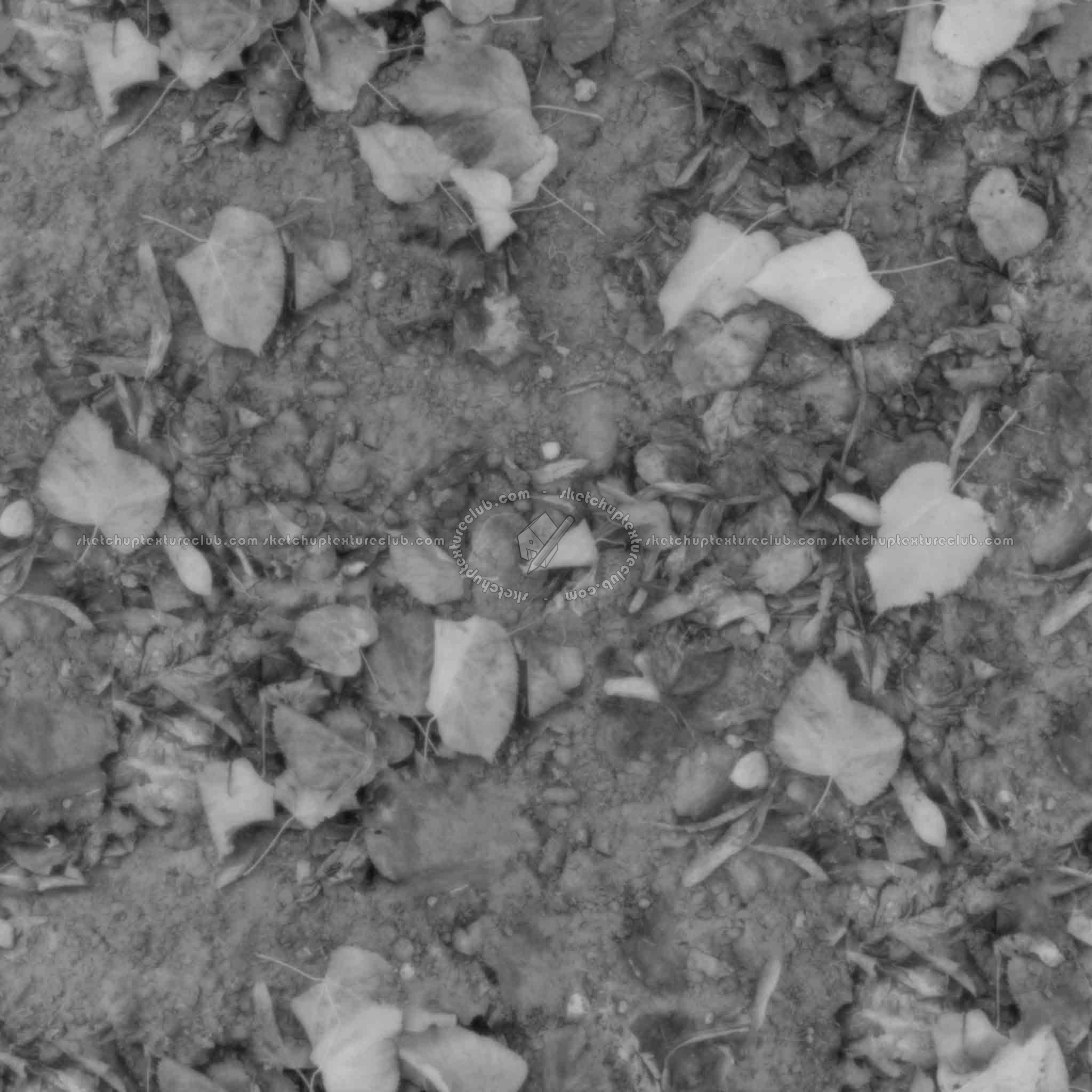 Textures   -   NATURE ELEMENTS   -   VEGETATION   -   Leaves dead  - Ground with dead leaves texture seamless 20525 - Displacement
