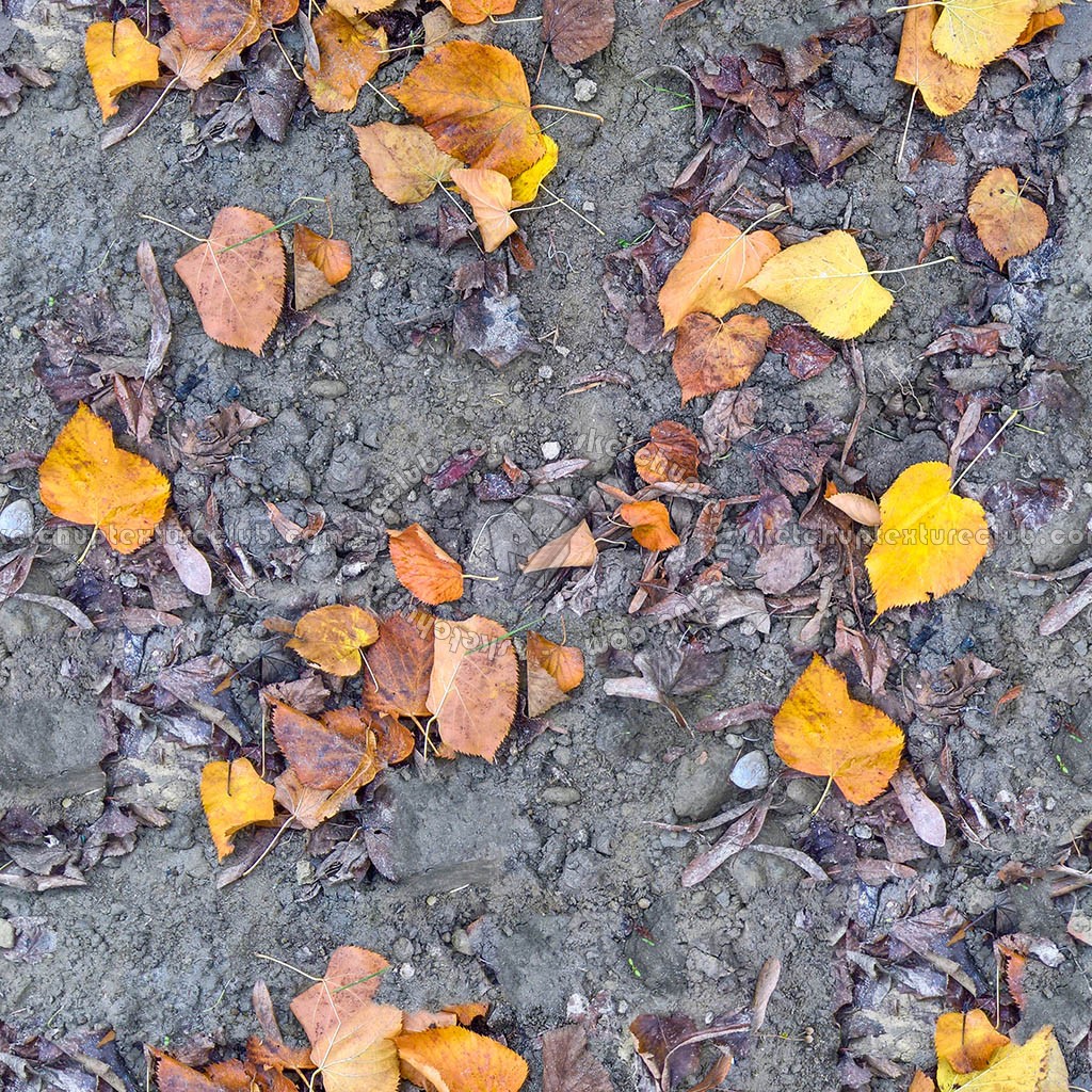 Ground with dead leaves texture seamless 20525