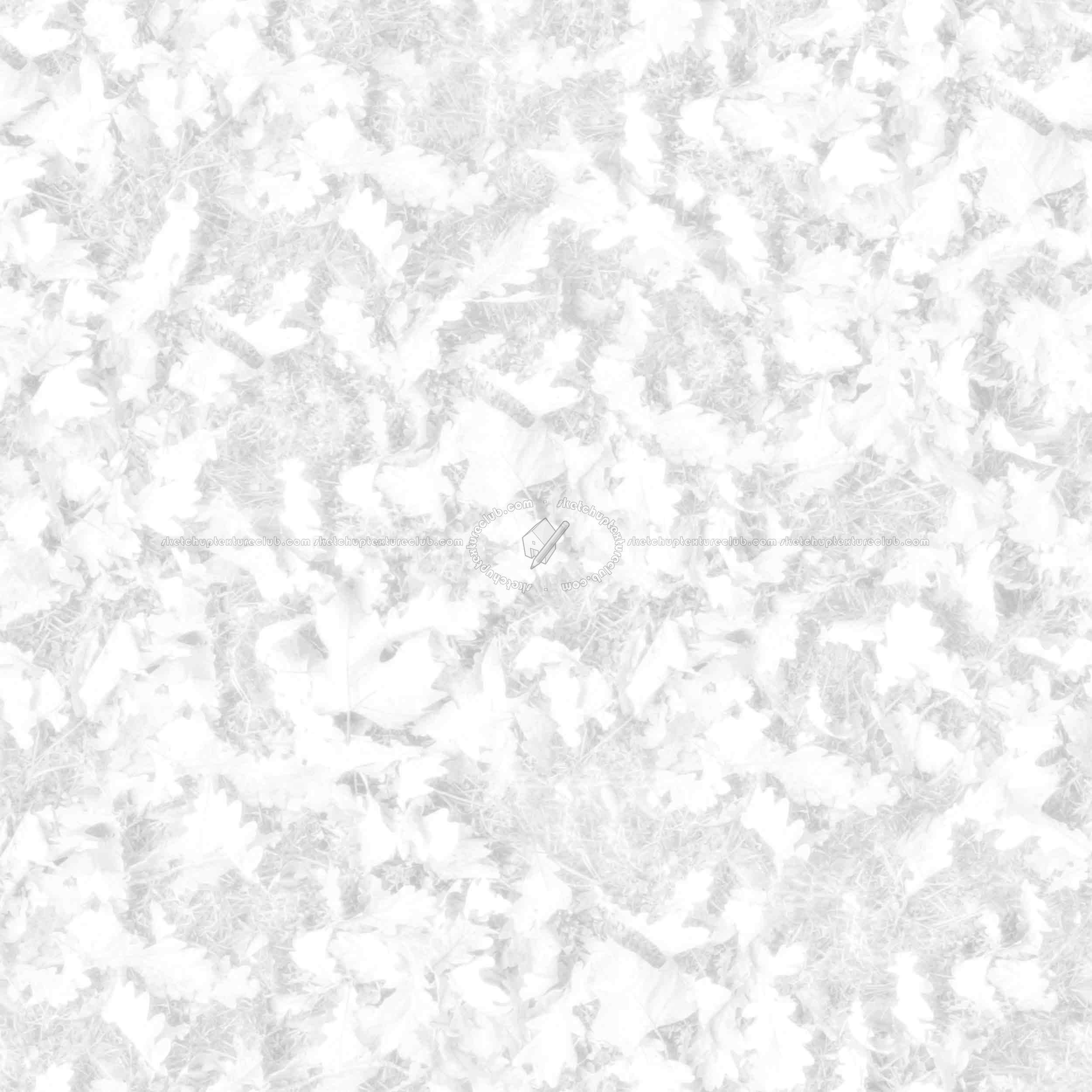 Textures   -   NATURE ELEMENTS   -   VEGETATION   -   Leaves dead  - Leaves dead PBR texture seamless 22029 - Ambient occlusion