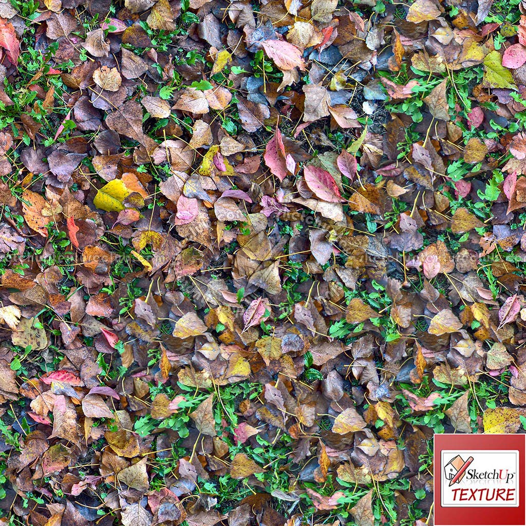 Textures   -   NATURE ELEMENTS   -   VEGETATION   -   Leaves dead  - Undergrowth foliage PBR texture seamless 21848 (seamless)
