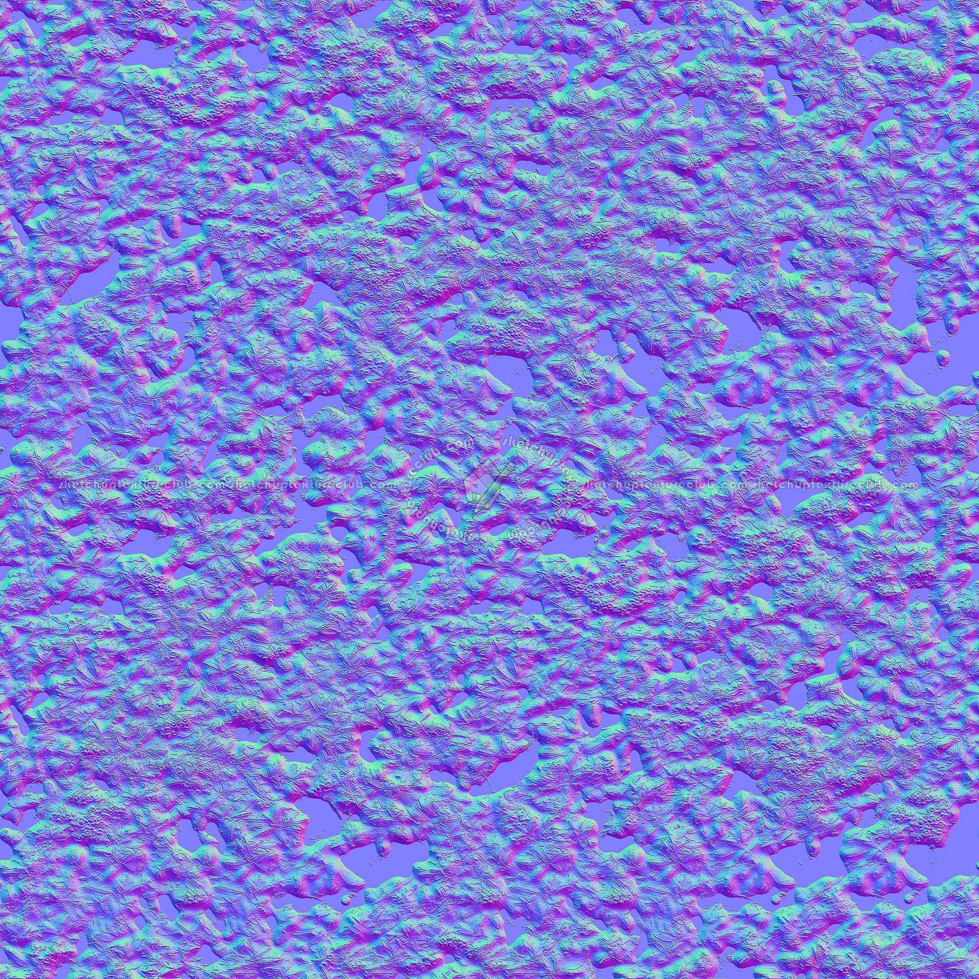 Textures   -   NATURE ELEMENTS   -   VEGETATION   -   Hedges  - red piracanta hedge texture-seamless 21345 - Normal