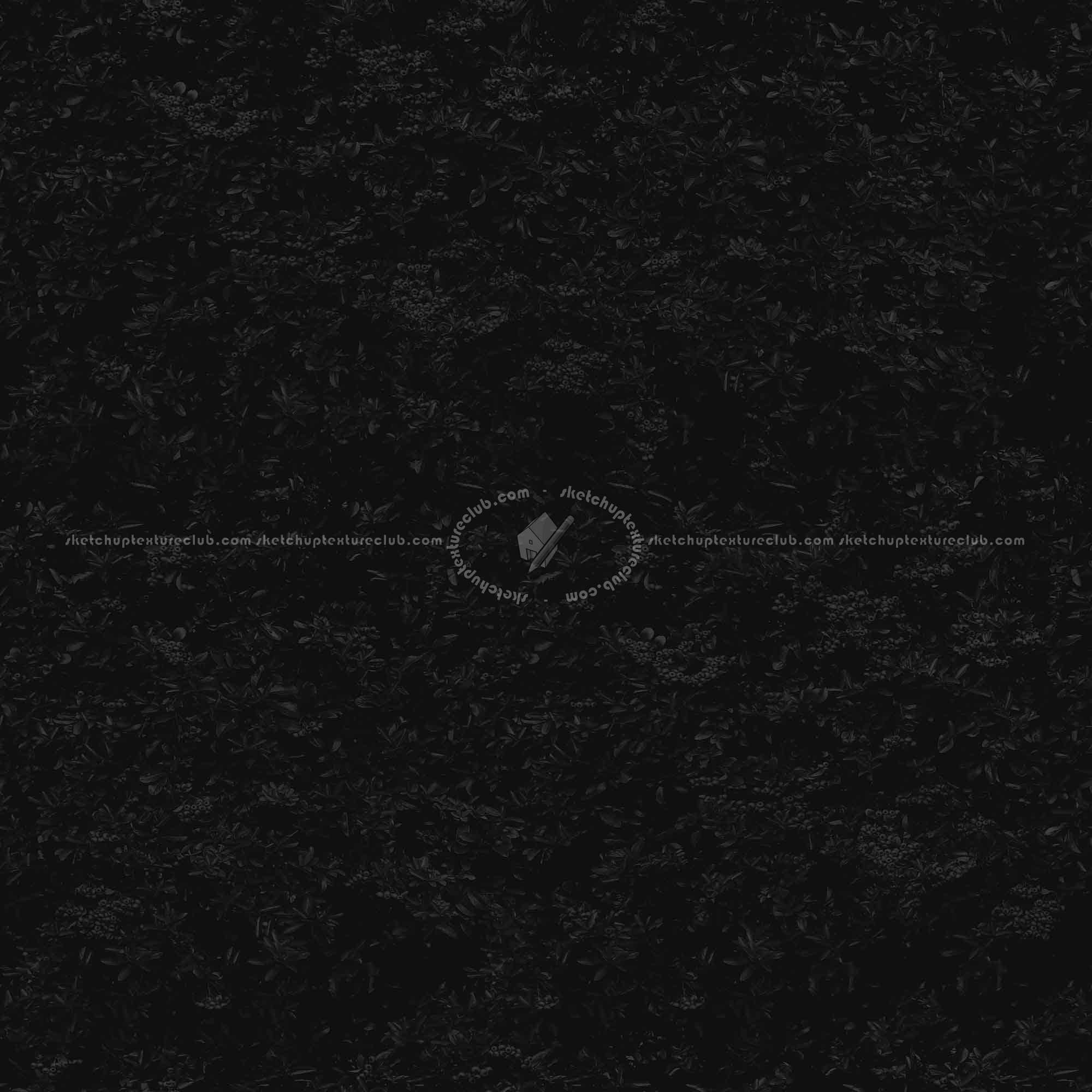 Textures   -   NATURE ELEMENTS   -   VEGETATION   -   Hedges  - red piracanta hedge texture-seamless 21345 - Specular