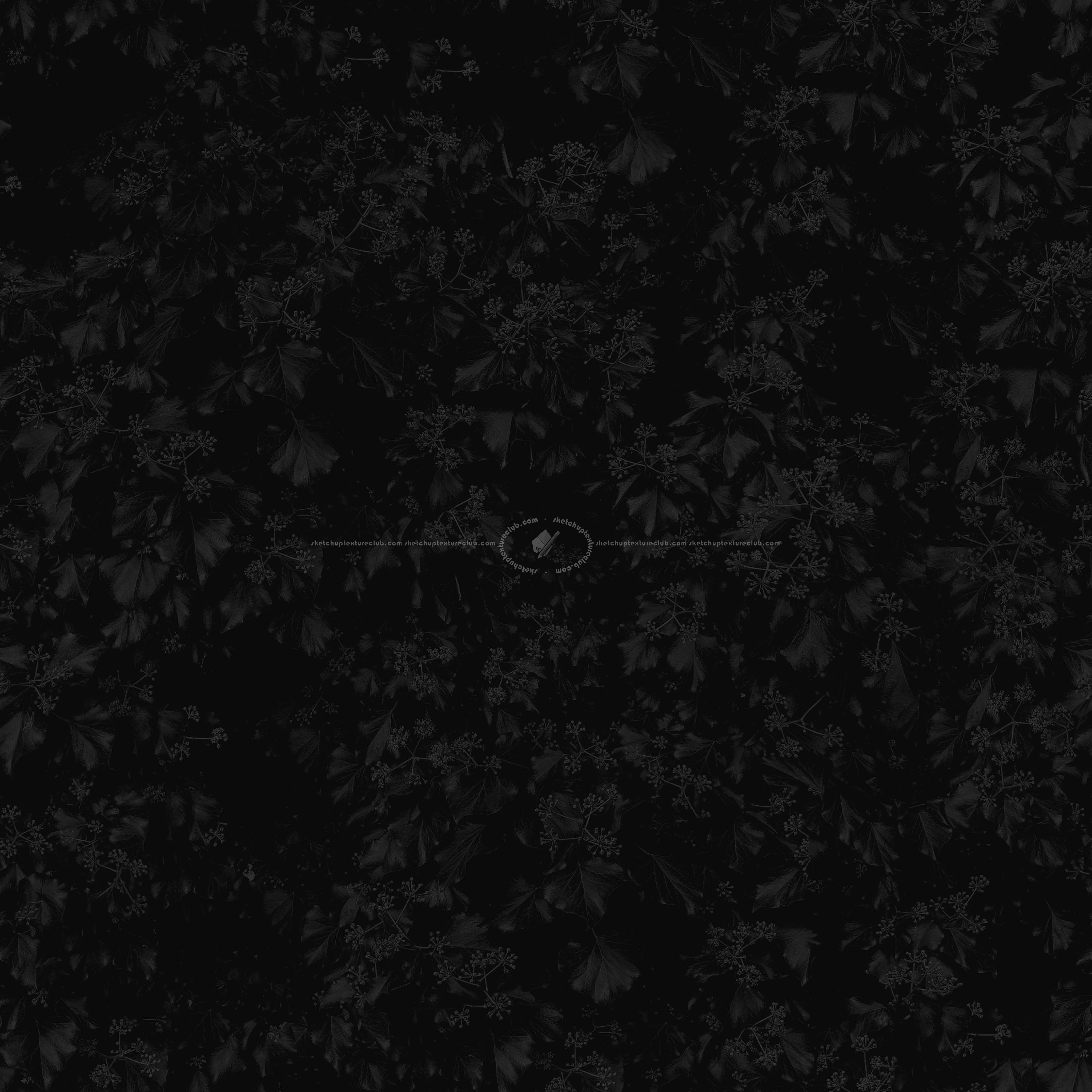 Textures   -   NATURE ELEMENTS   -   VEGETATION   -   Hedges  - green hedge PBR texture seamless 22095 - Specular