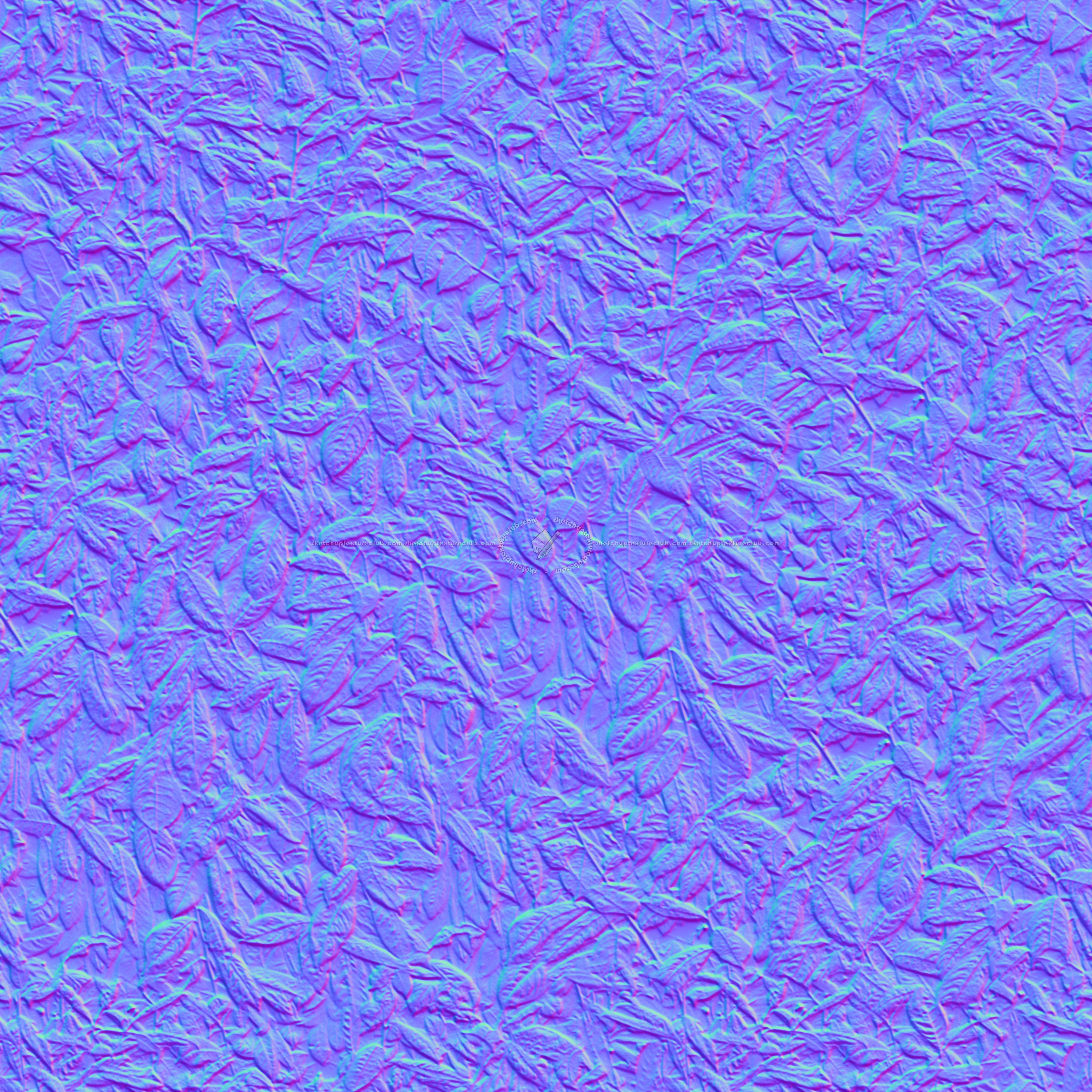 Textures   -   NATURE ELEMENTS   -   VEGETATION   -   Hedges  - Laurel hedge pbr texture seamless 22096 - Normal