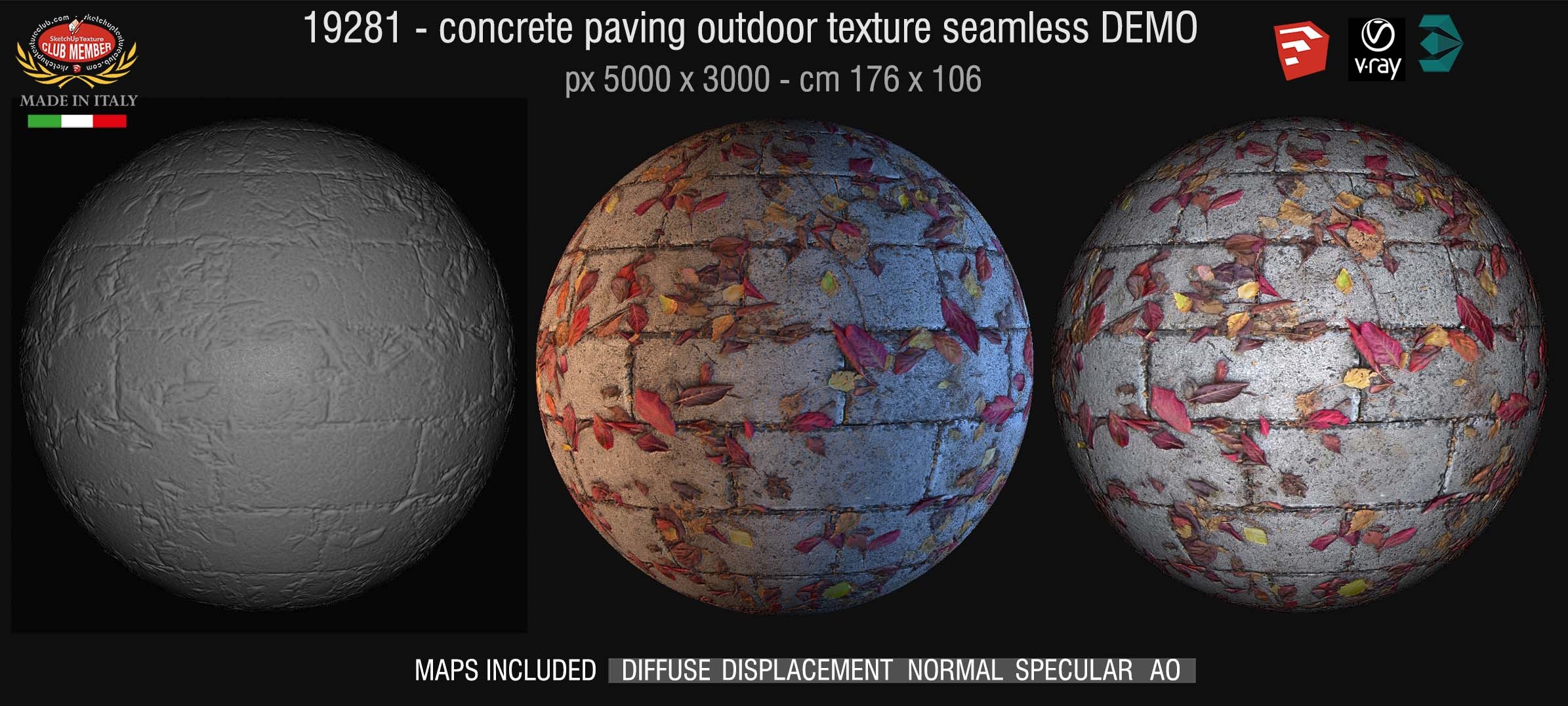 19281 HR Concrete paving outdoor with dead leaves texture + maps DEMO