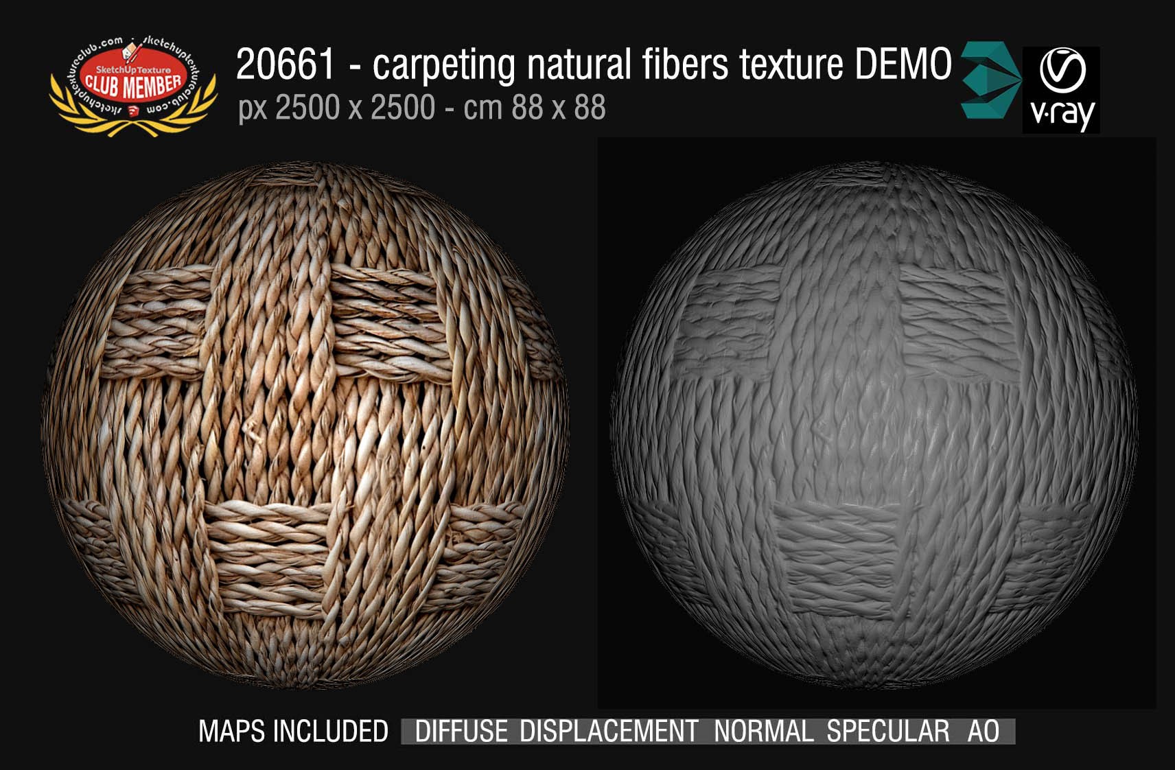 20661 Carpeting natural fibers texture DEMO