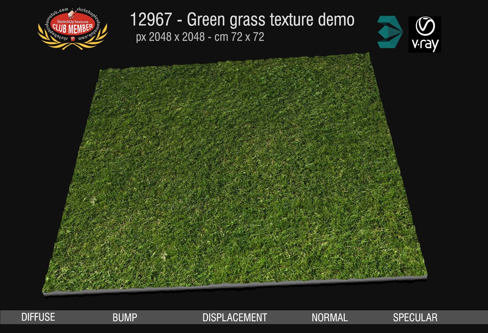 12967 Green grass texture & maps DEMO