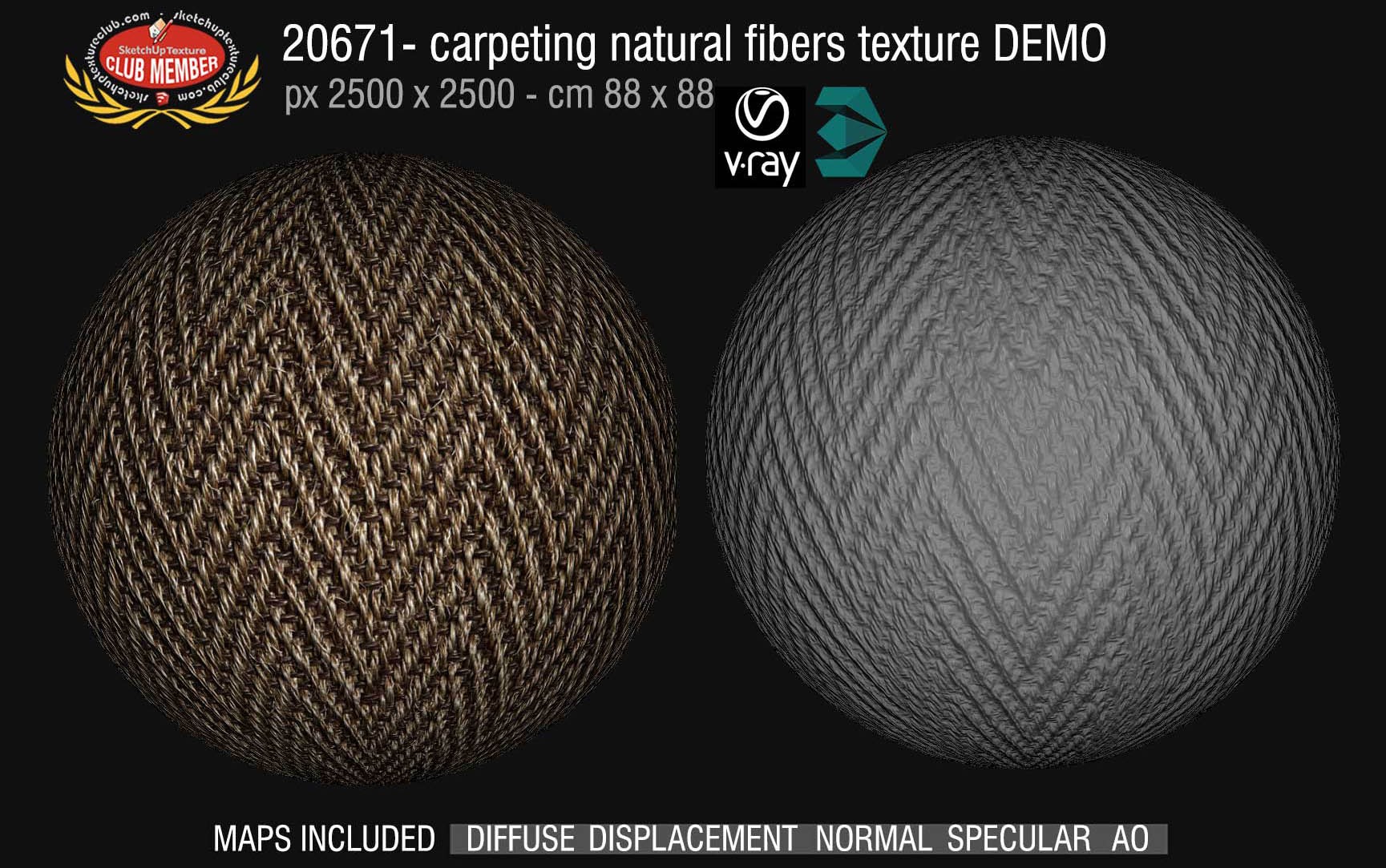 20671 Carpeting natural fibers texture DEMO