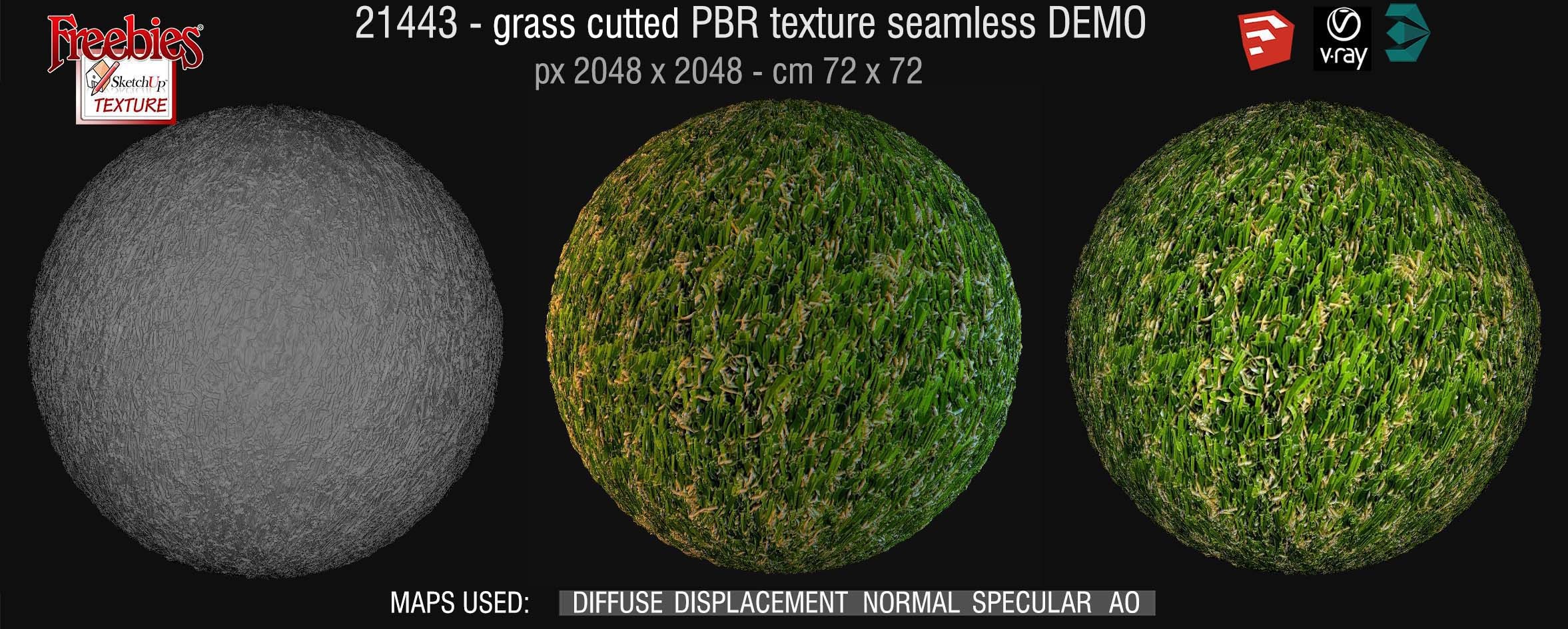 21443 grass cutted PBR texture-seamless