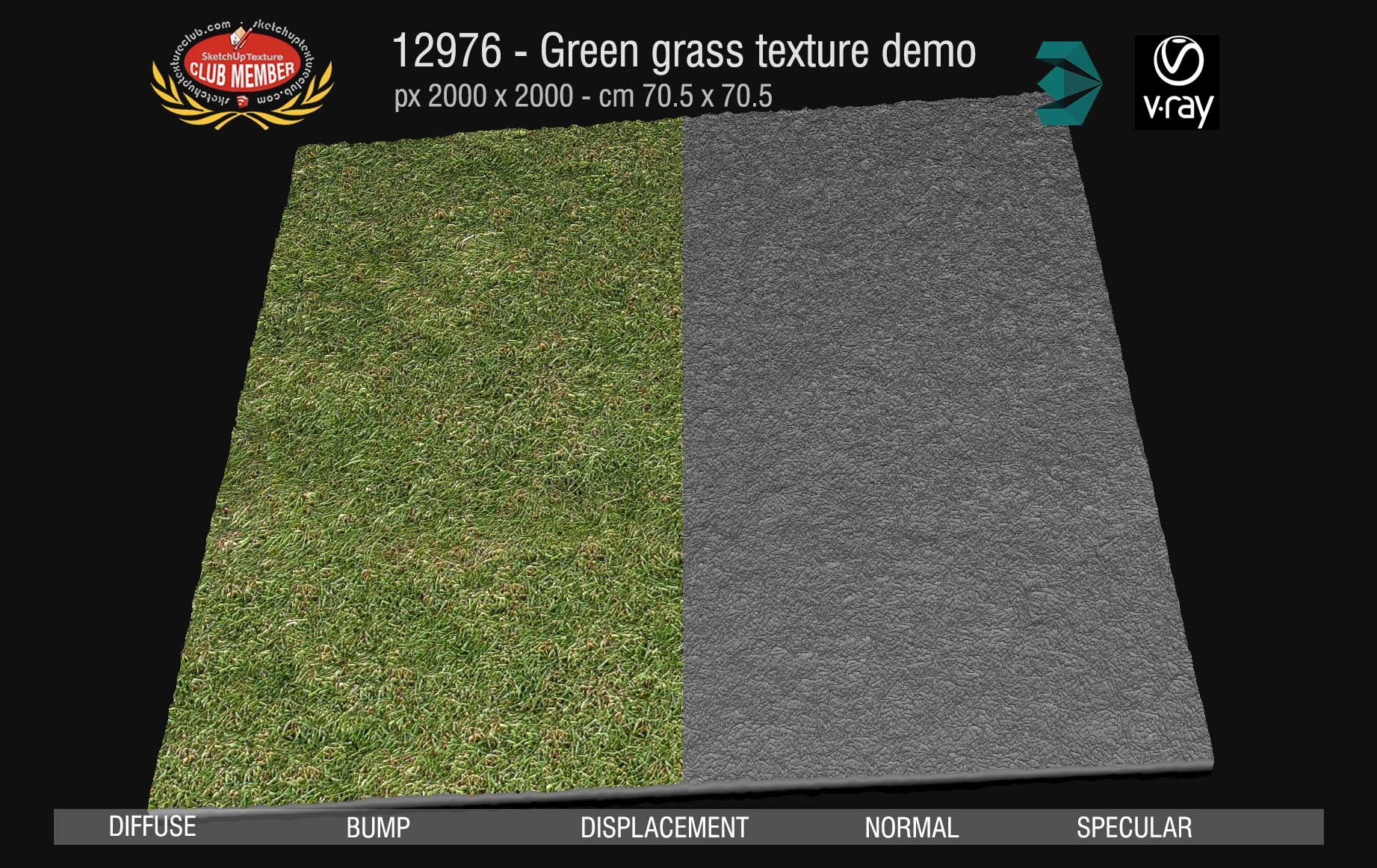 12976 Green grass texture seamless & maps DEMO
