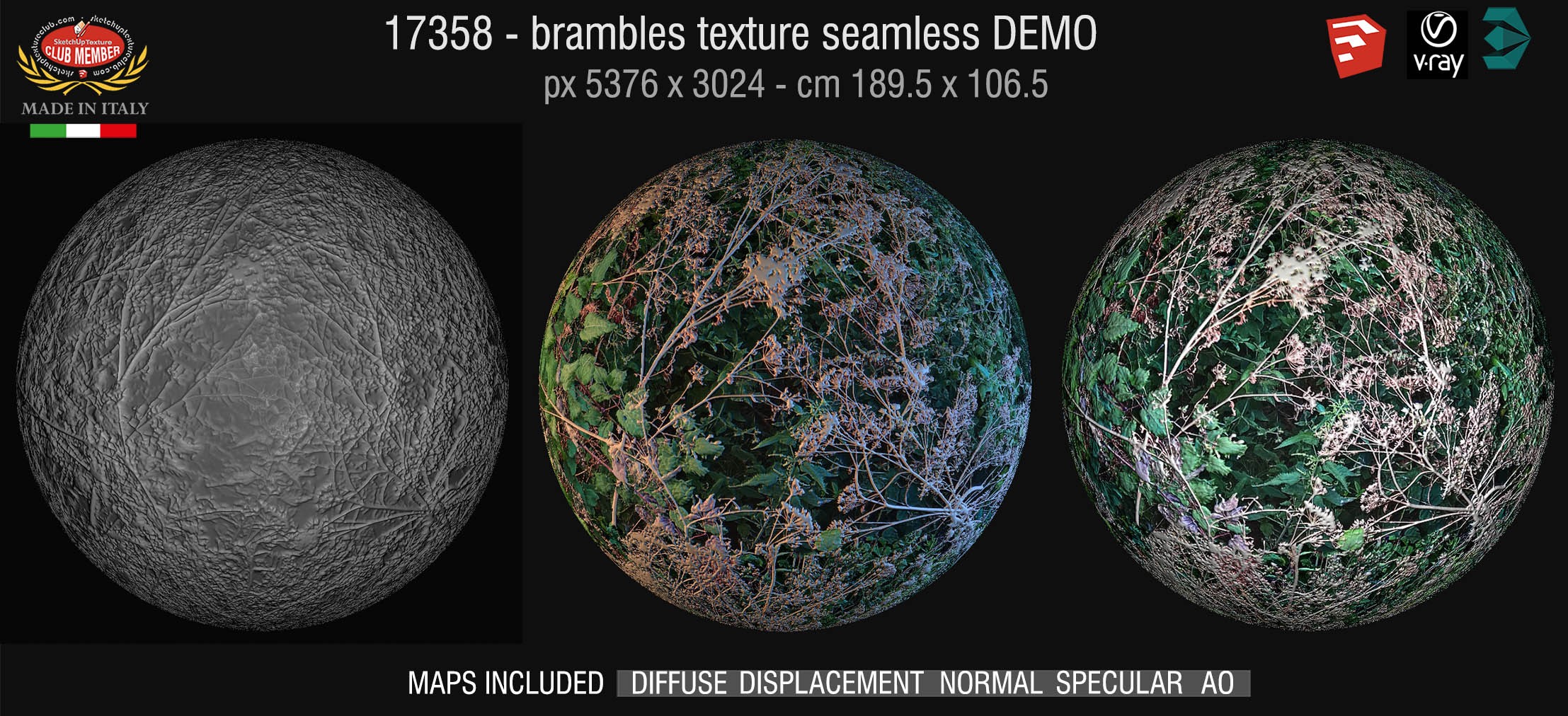 17358 HR Brambles texture + maps DEMO