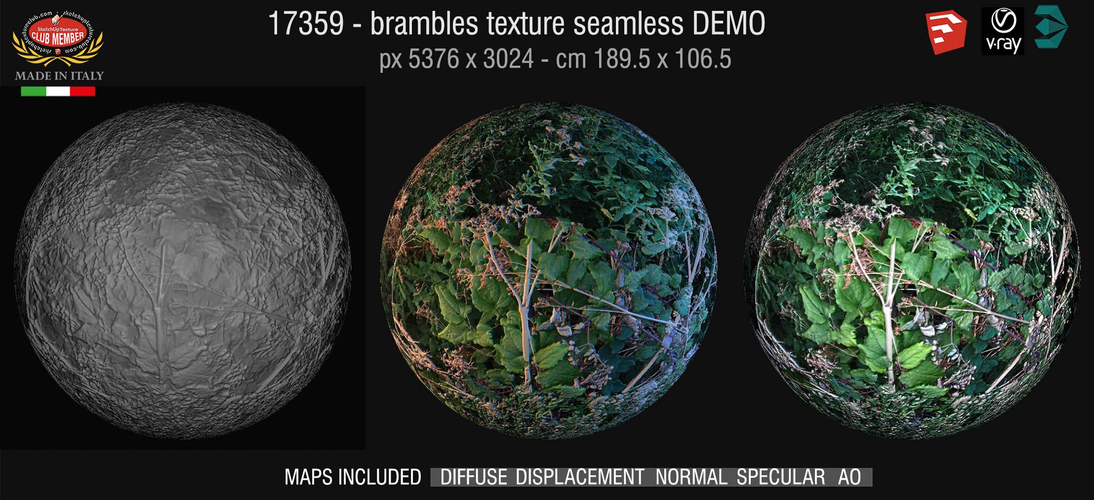 17359 HR Brambles texture + maps DEMO