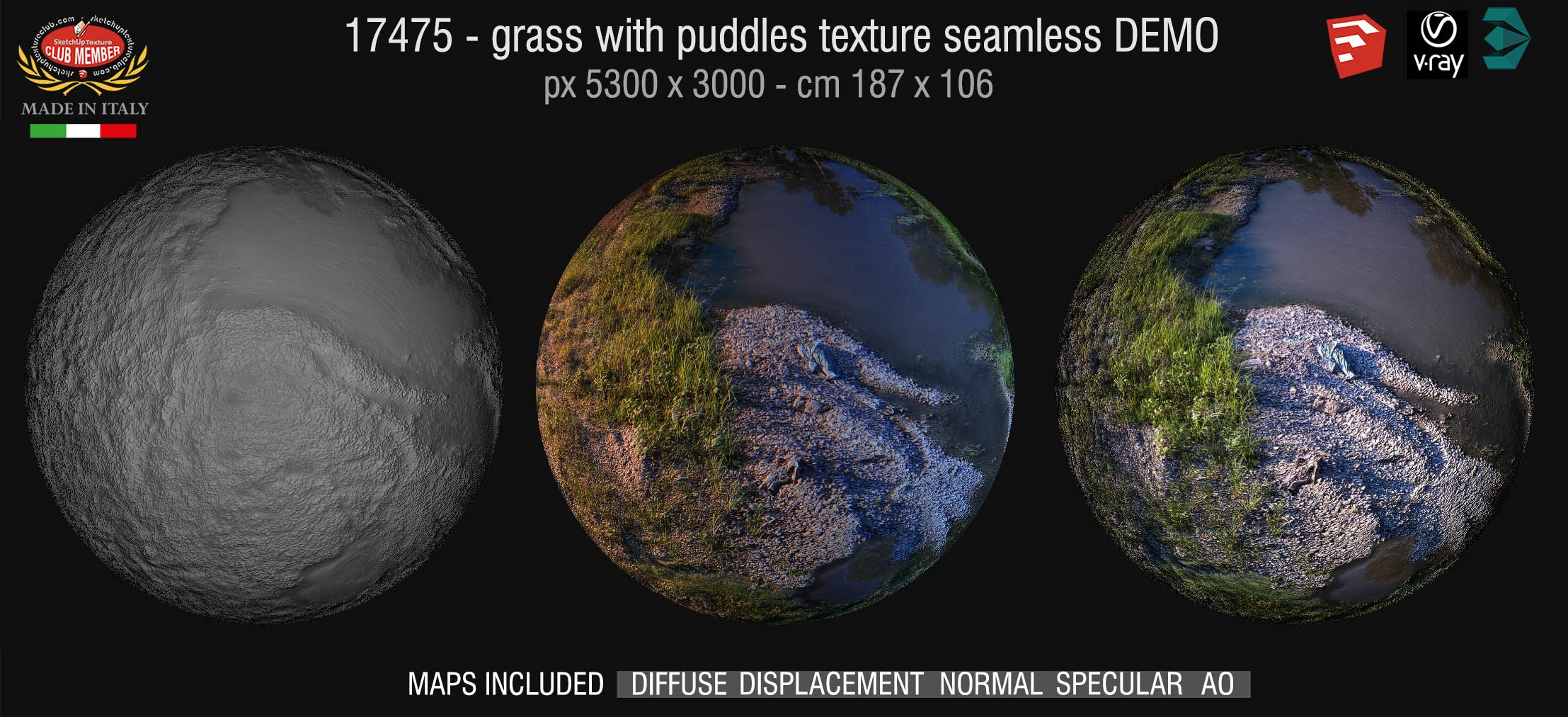 17475 HR Grass with puddles texture + maps DEMO