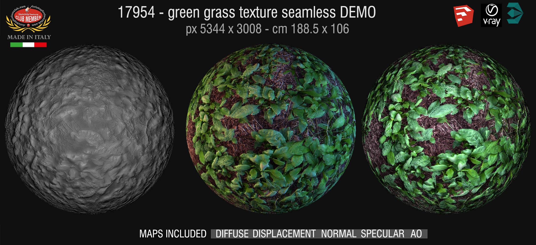 17954 HR Green grass texture + maps DEMO