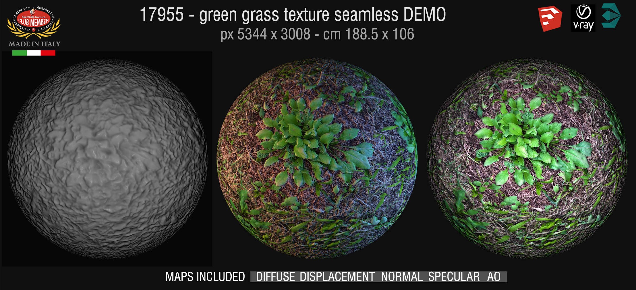 17955 HR Green grass texture seamless + maps DEMO