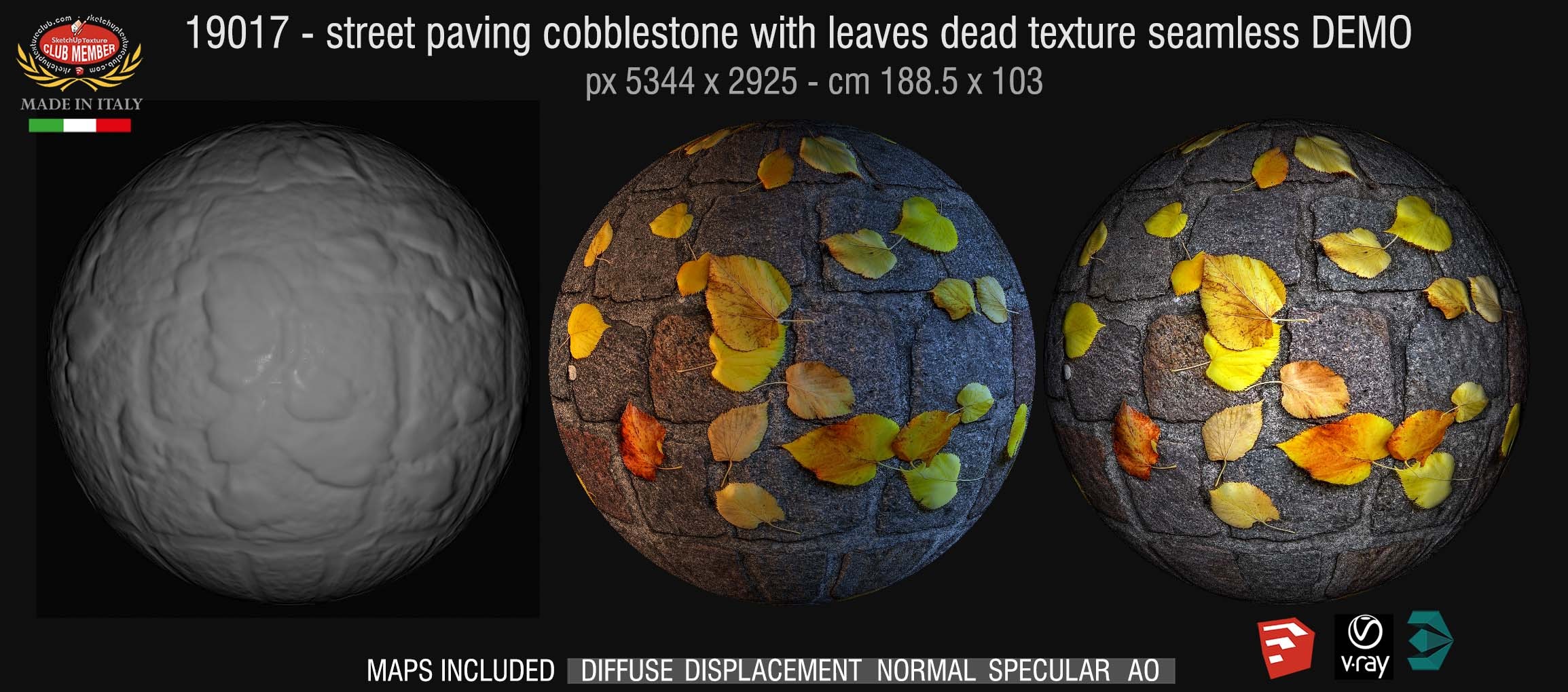 19017 HR Street paving cobblestone with leaves dead texture + maps DEMO