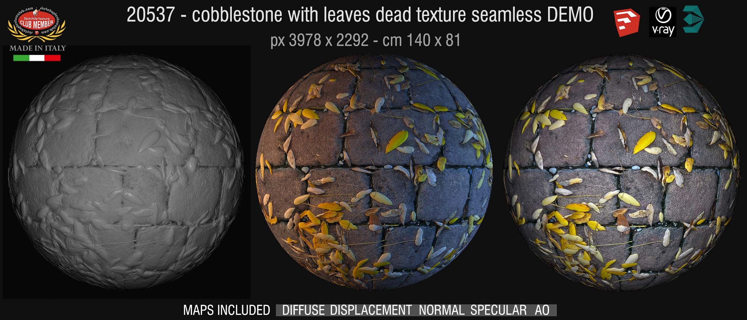 20537 HR Cobblestone with leaves dead texture DEMO