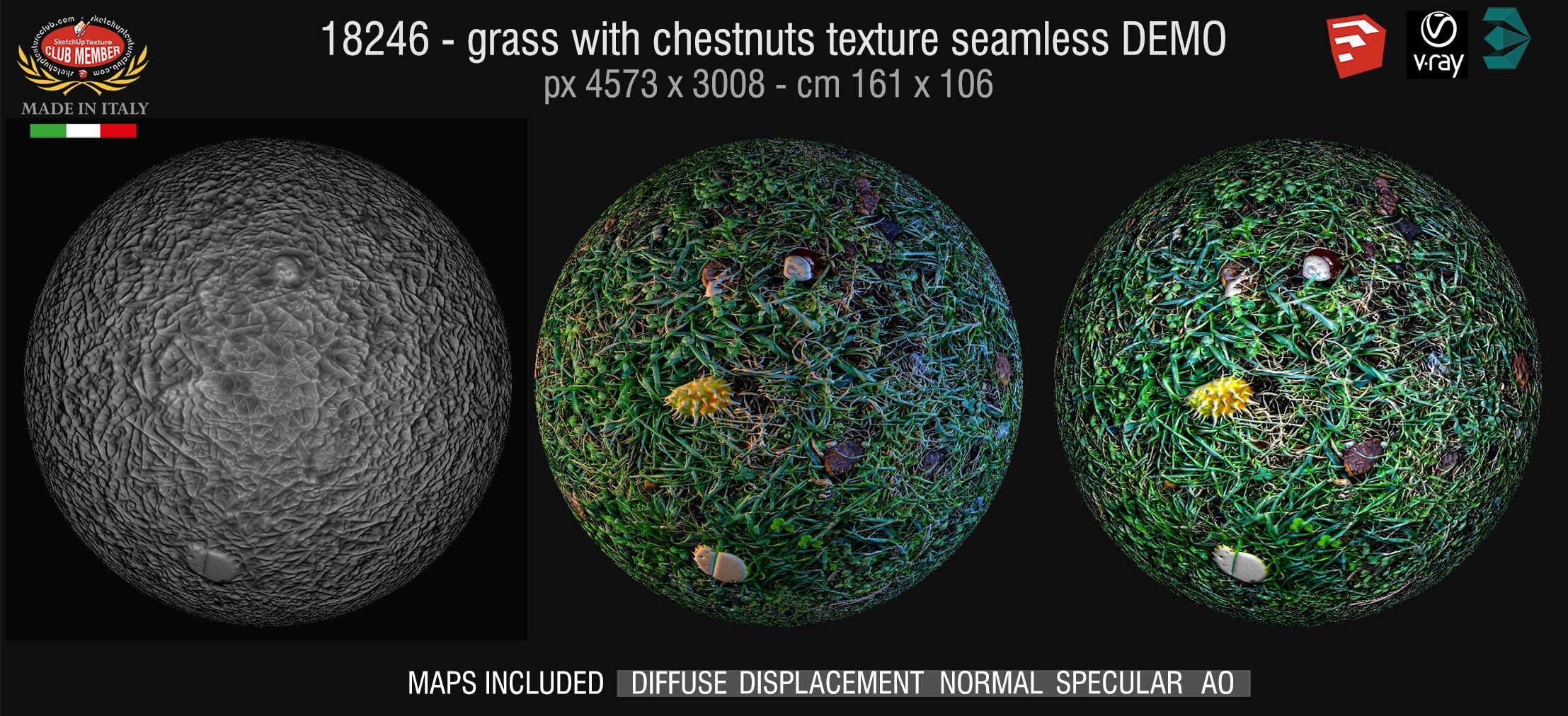 18246 HR Grass with chestnuts texture + maps DEMO