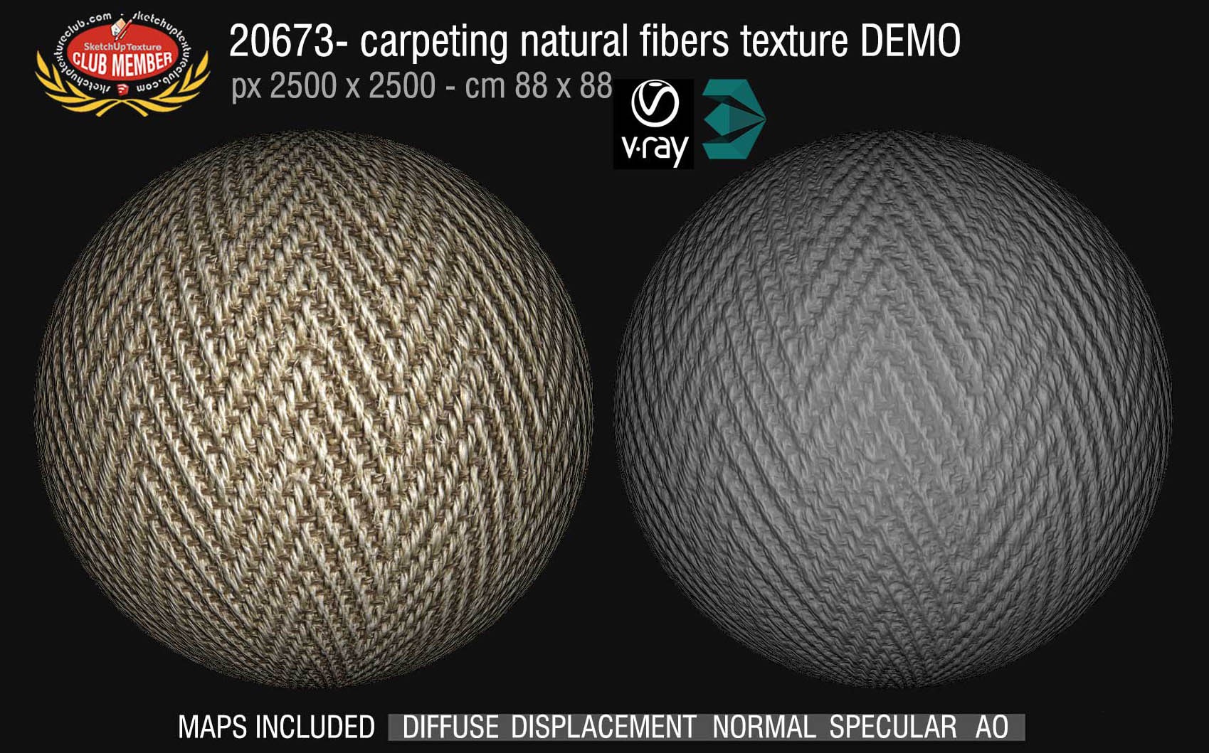 20673 Carpeting natural fibers texture DEMO