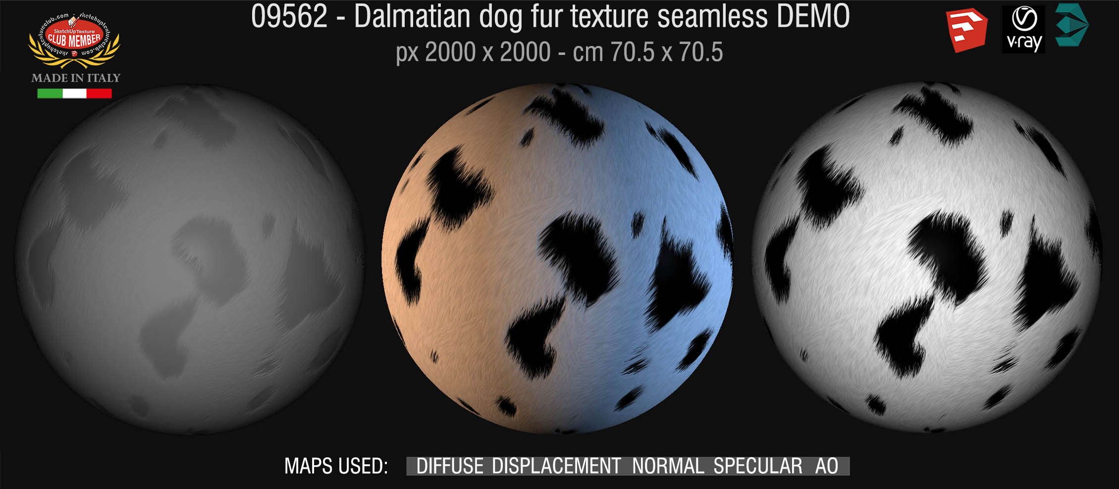 09562 HR Dalmatian dog fur texture + maps DEMO