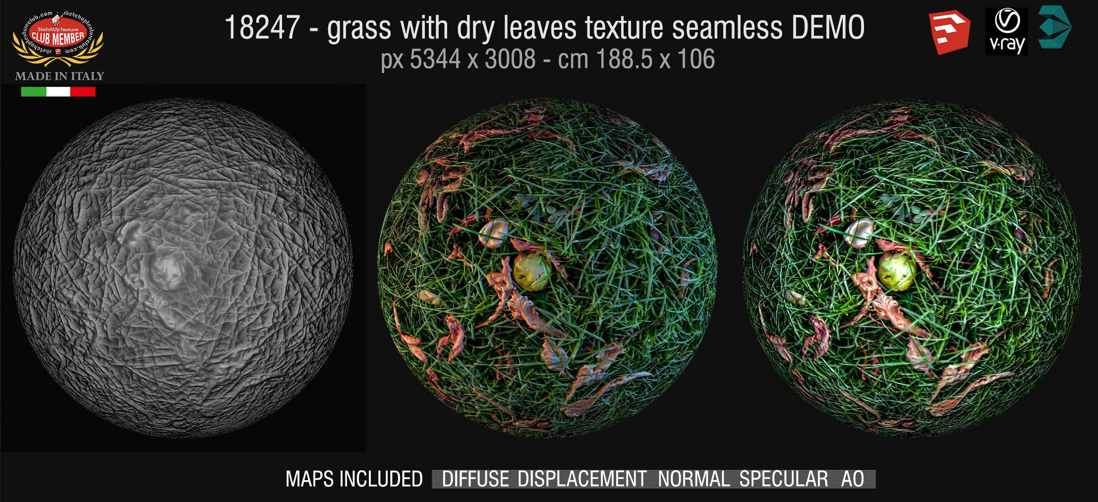 16247 HR Grass with dry leaves texture + maps DEMO