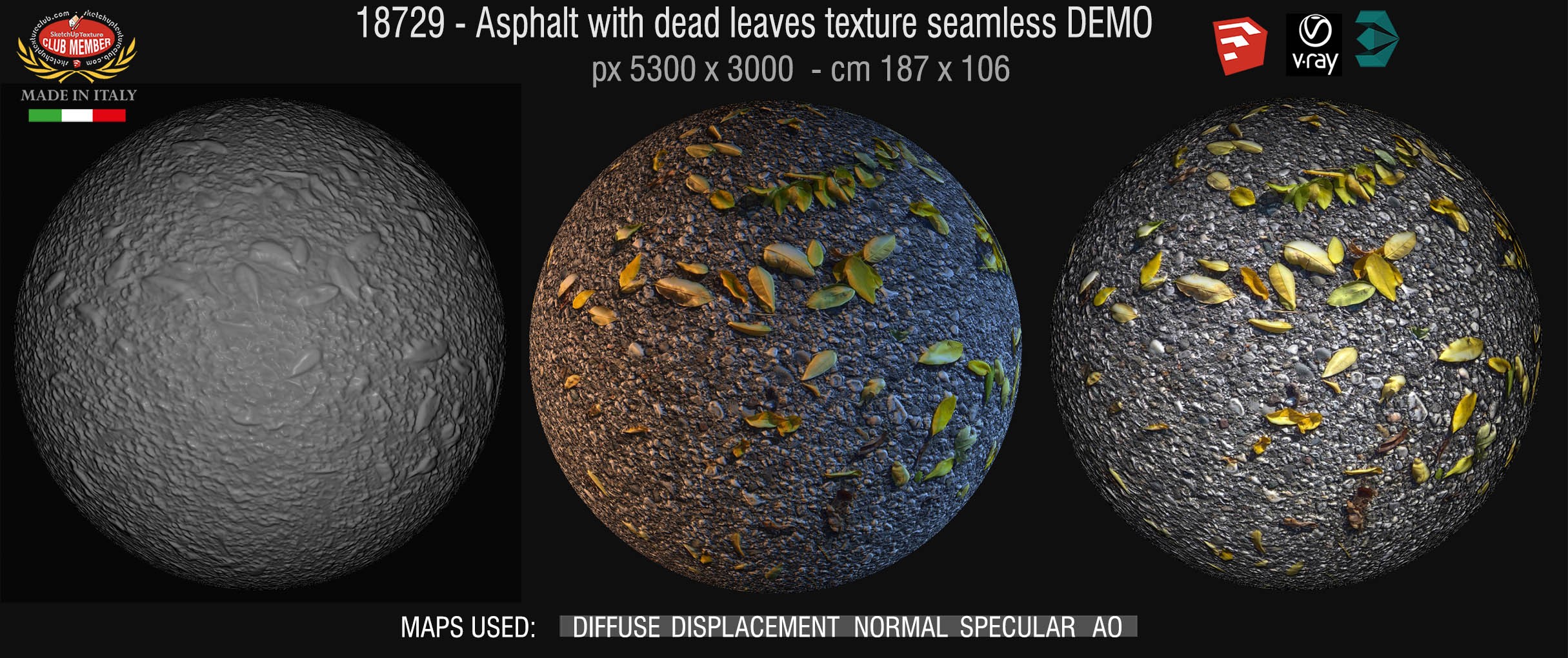 19729 Asphalt with dead leaves texture seamless + maps DEMO