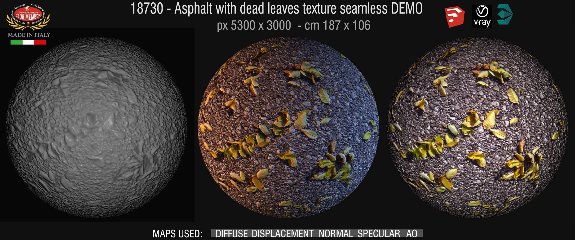 19370 Asphalt with dead leaves texture seamless + maps DEMO