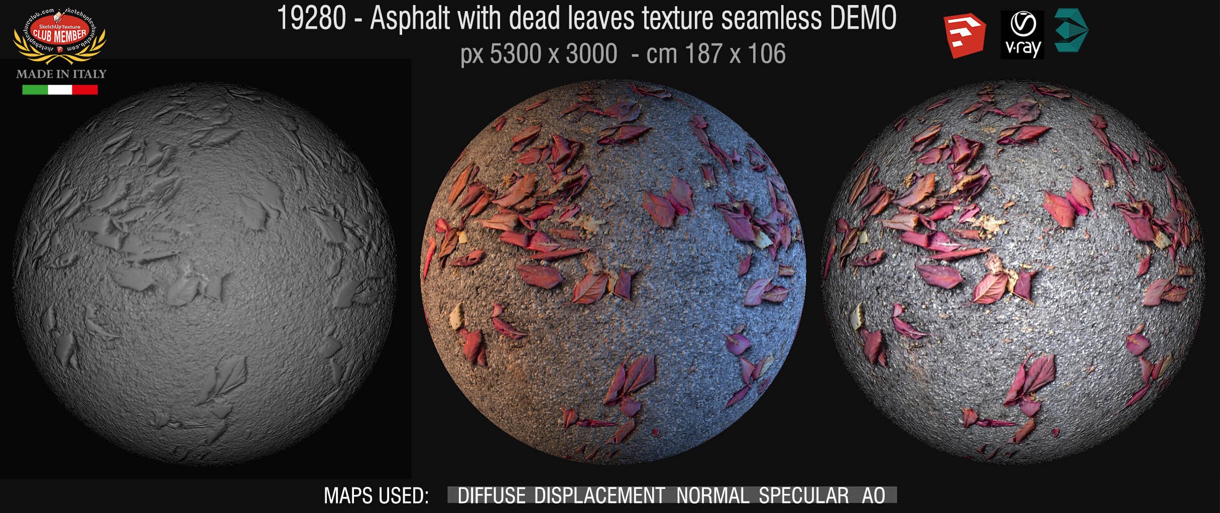 19280 Asphalt with dead leaves texture seamless + maps DEMO
