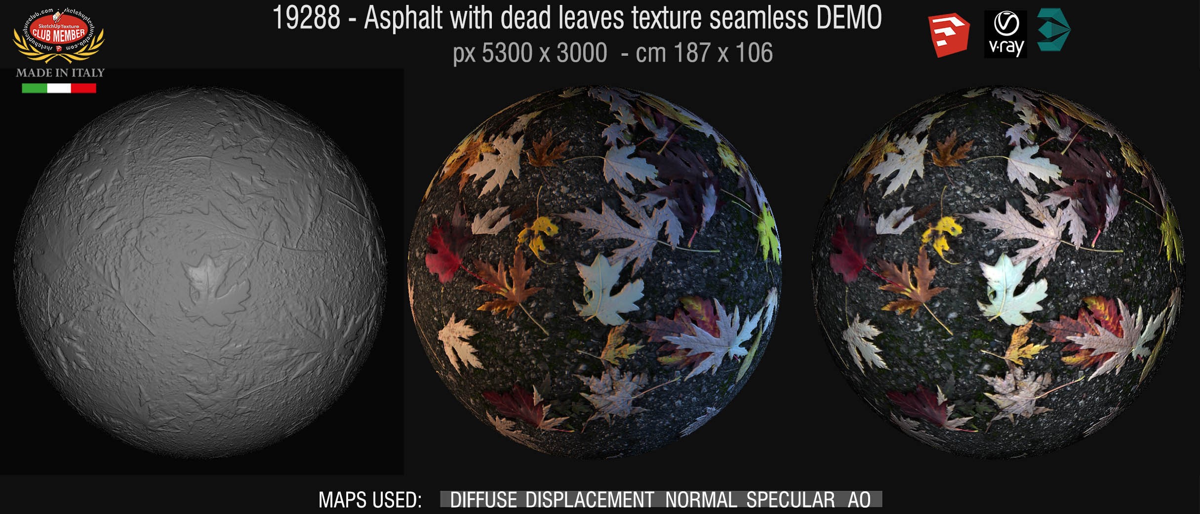 19288 Asphalt with dead leaves texture seamless + maps DEMO