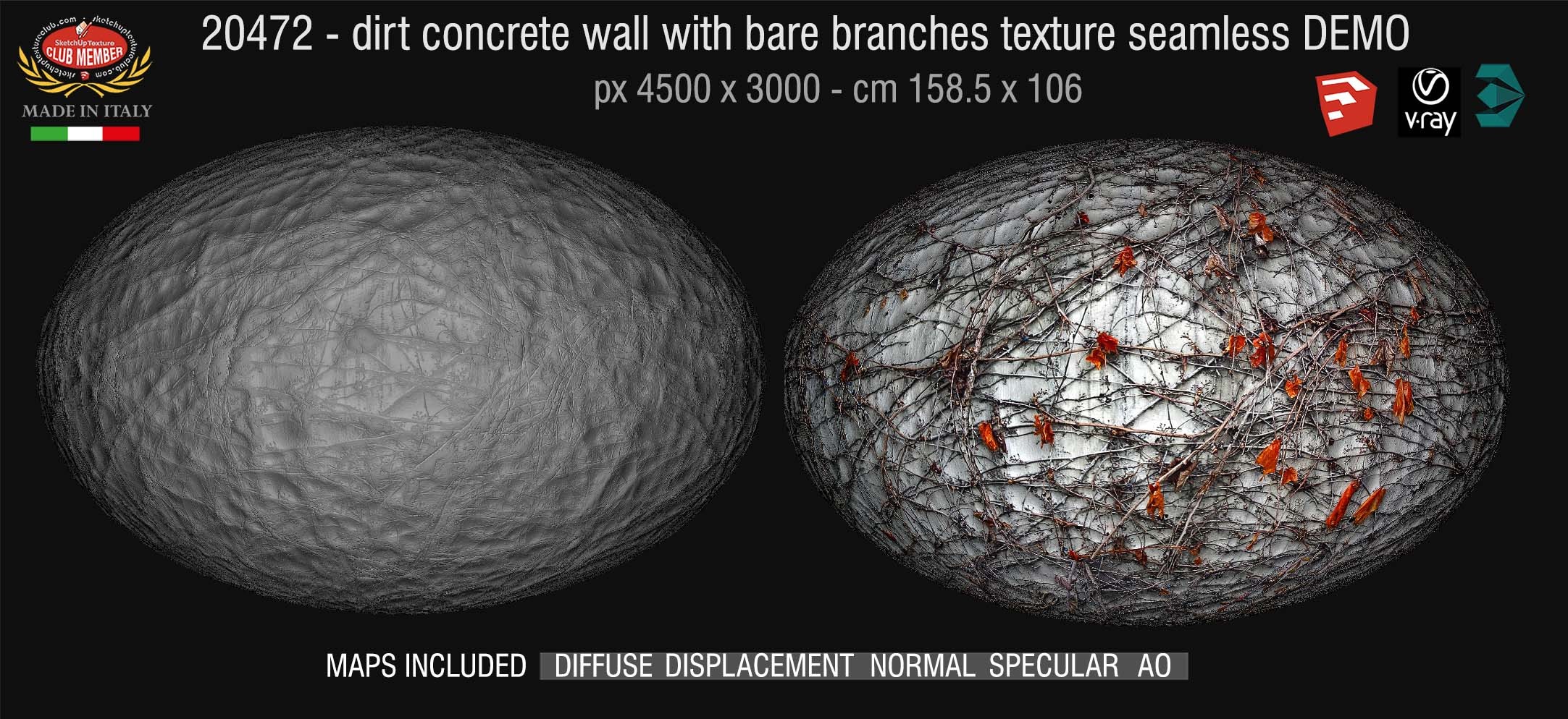 20472 - Dirt concrete wall with bare branches texture + maps DEMO