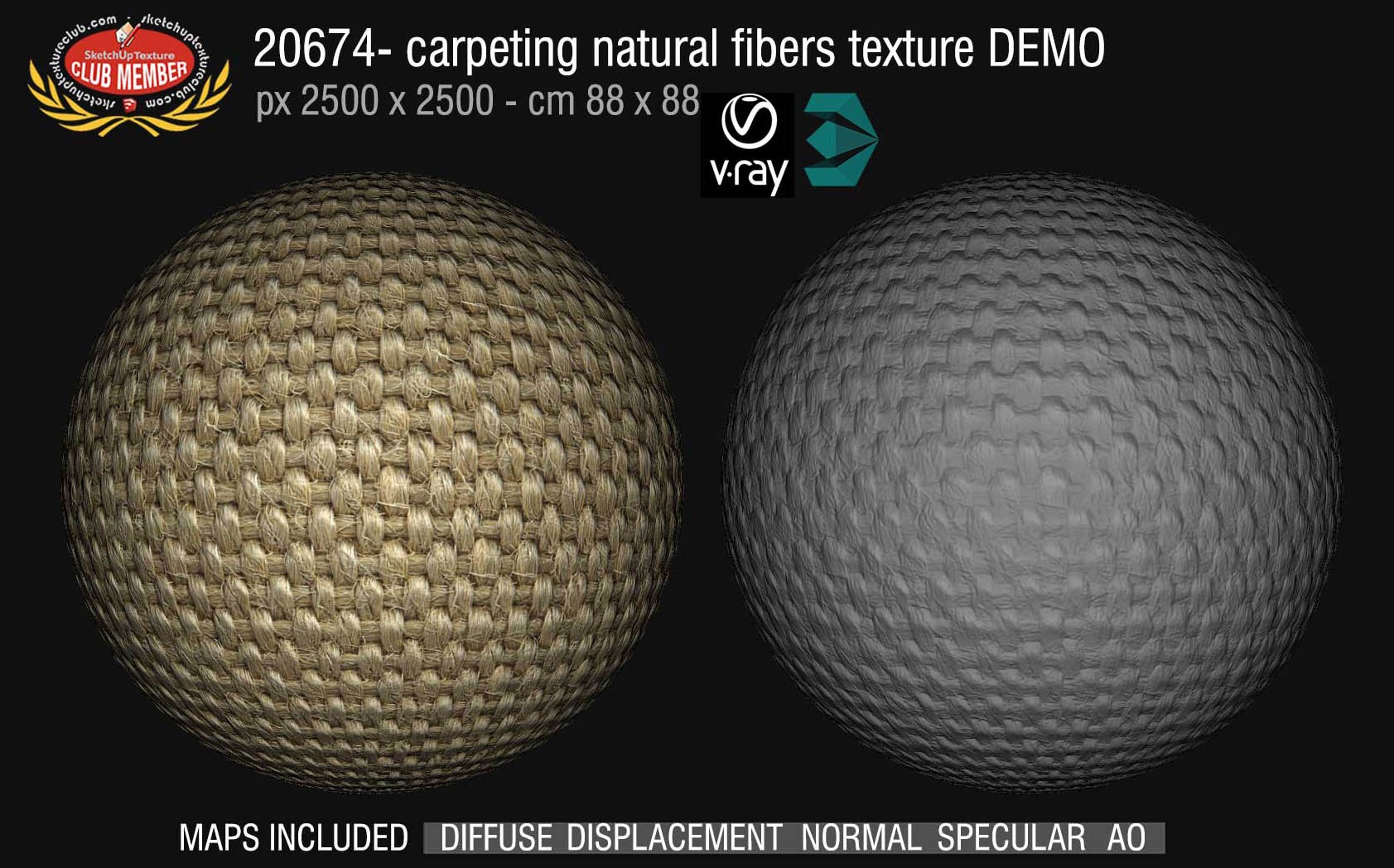 20674 Carpeting natural fibers texture DEMO