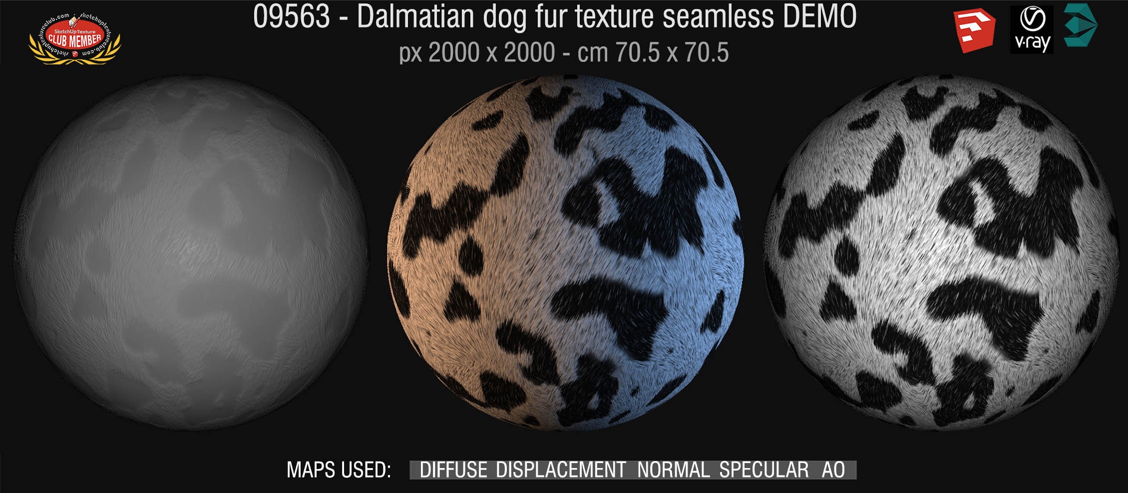 09563 HR dalmatian dog fur texture + maps DEMO
