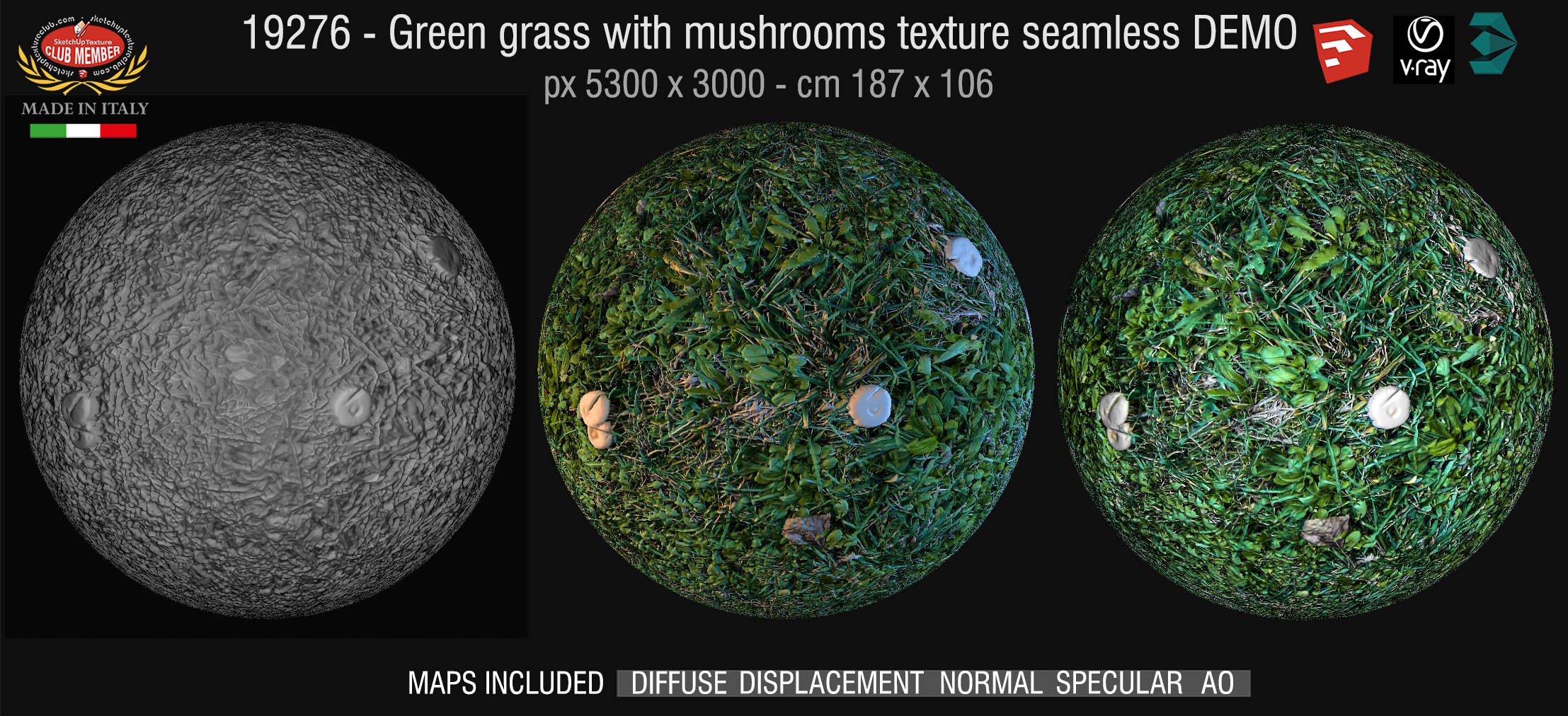19276 HR Green grass with mushrooms texture + maps DEMO