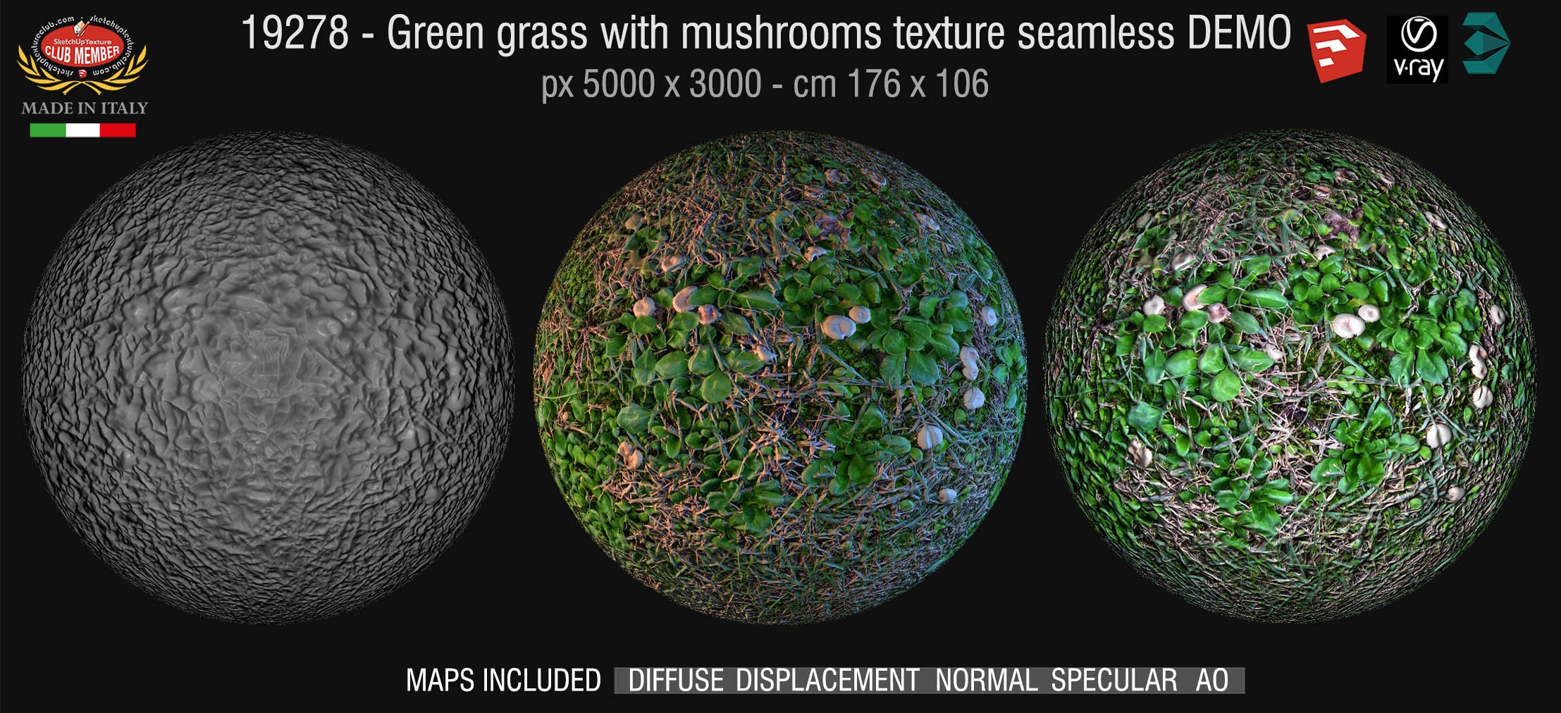 19278 HR Green grass with mushrooms + maps DEMO