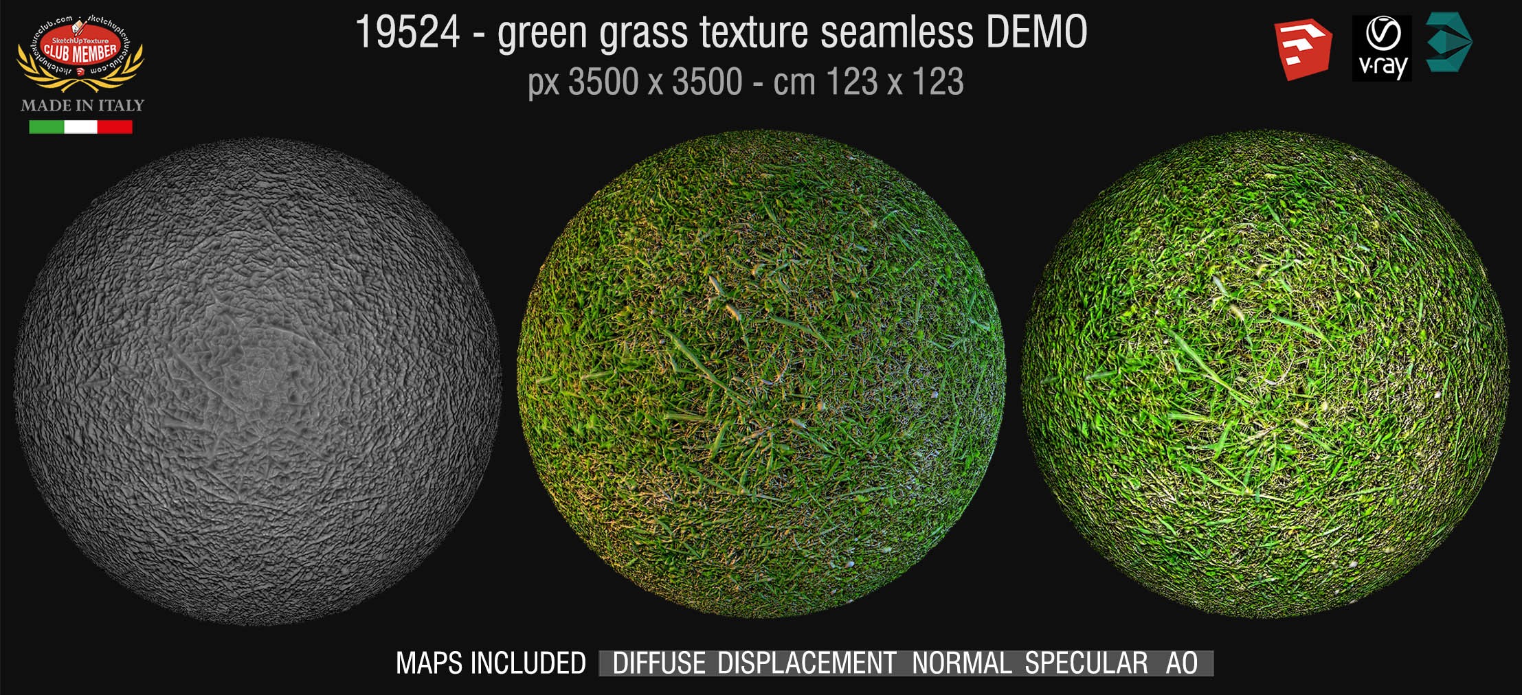 19524 HR Green grass texture + maps DEMO