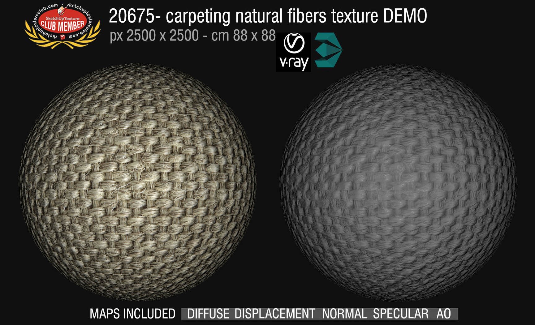 20675 Carpeting natural fibers texture DEMO