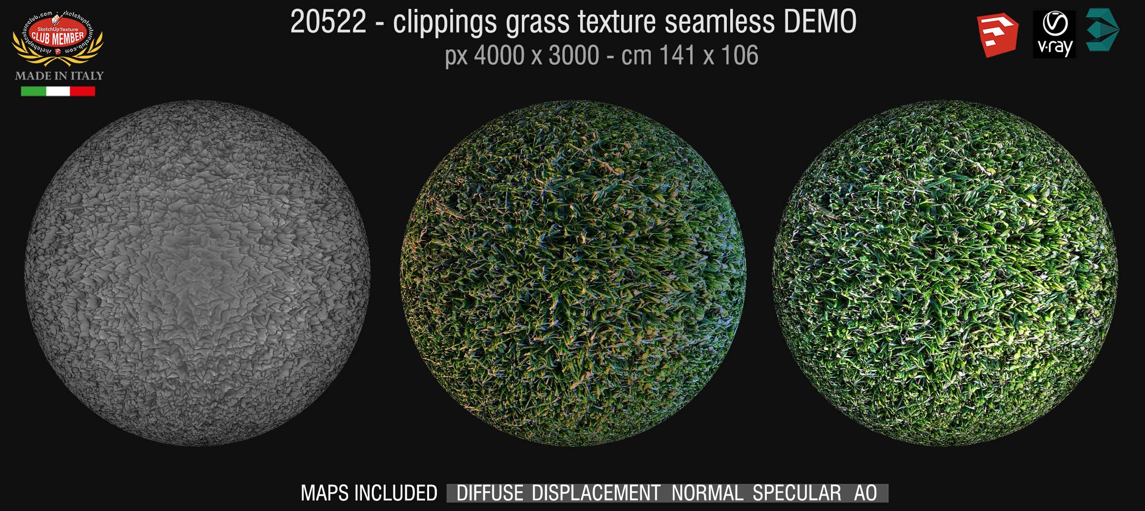 20522 Clippings grass texture + maps DEMO