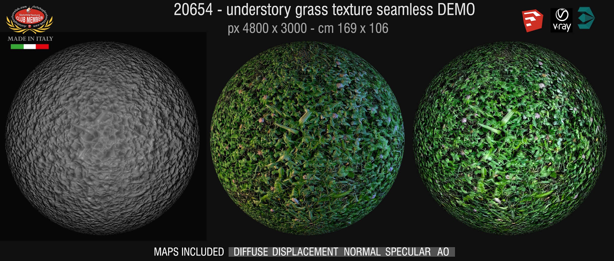 20654 HR Wild green grass texture + maps DEMO