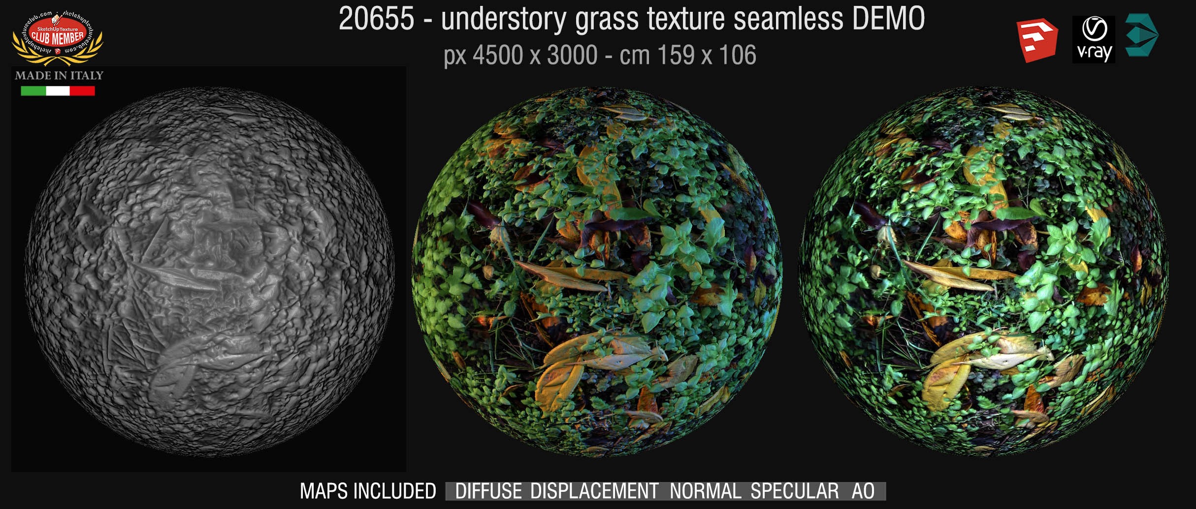20655 Understory grass texture + maps DEMO