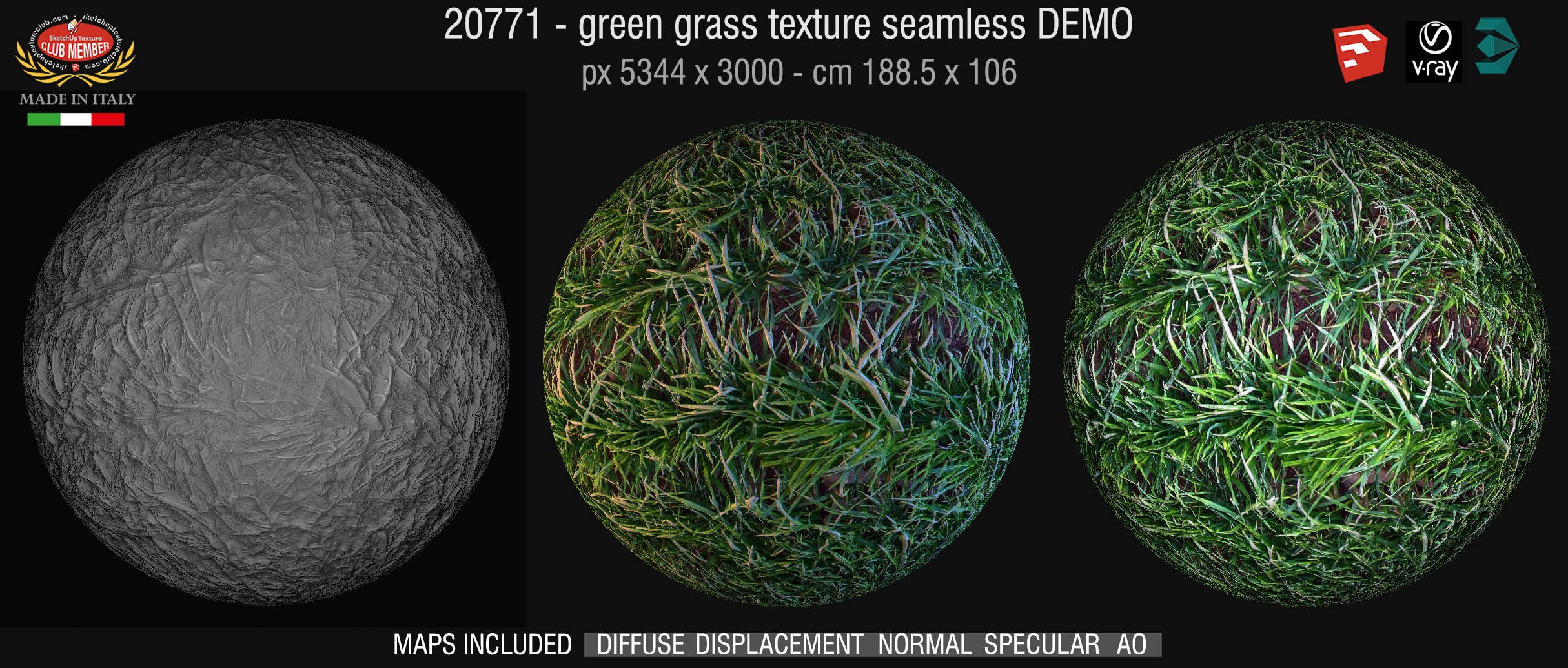 20771 Green grass texture & maps DEMO