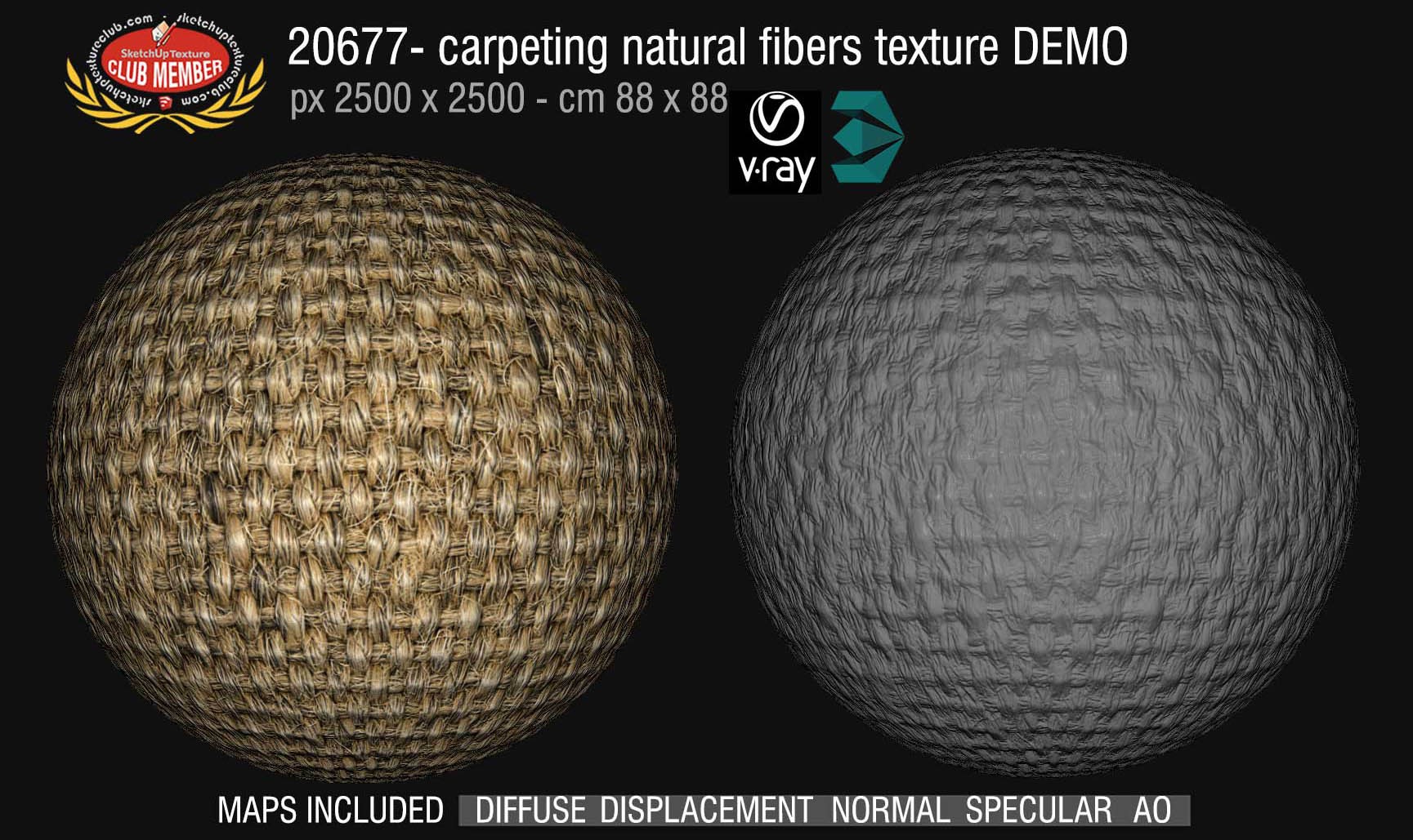 20677 Carpeting natural fibers texture DEMO
