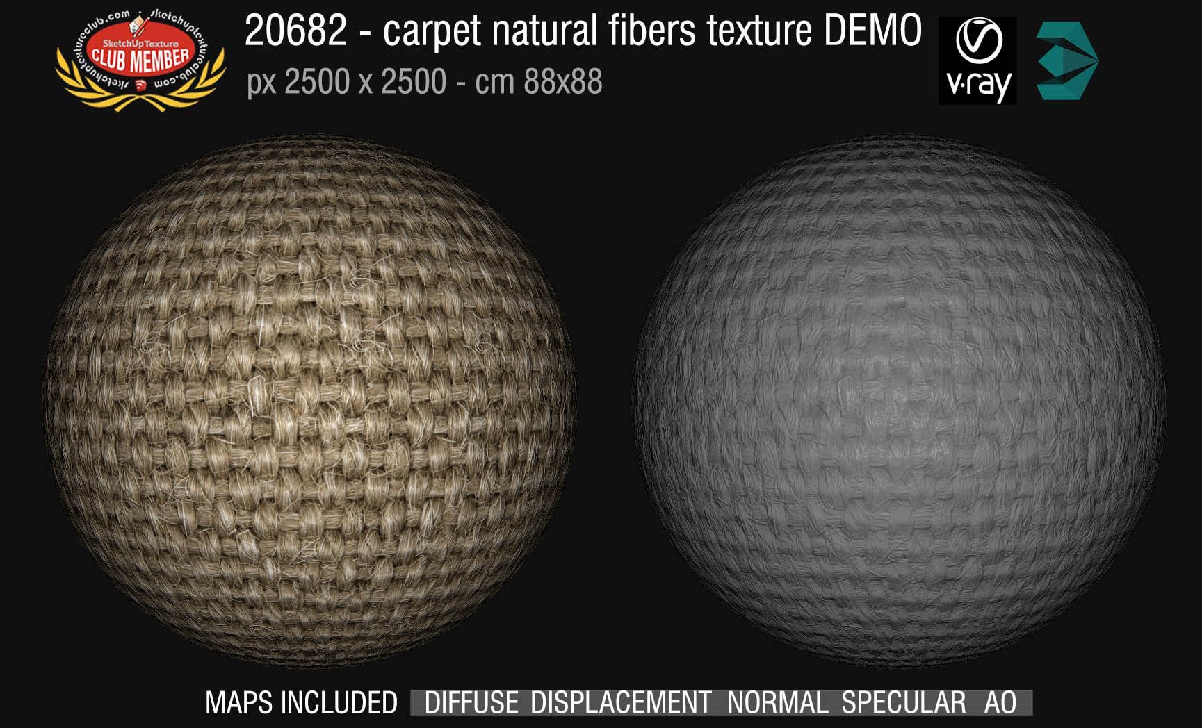 20682 Carpeting natural fibers texture DEMO