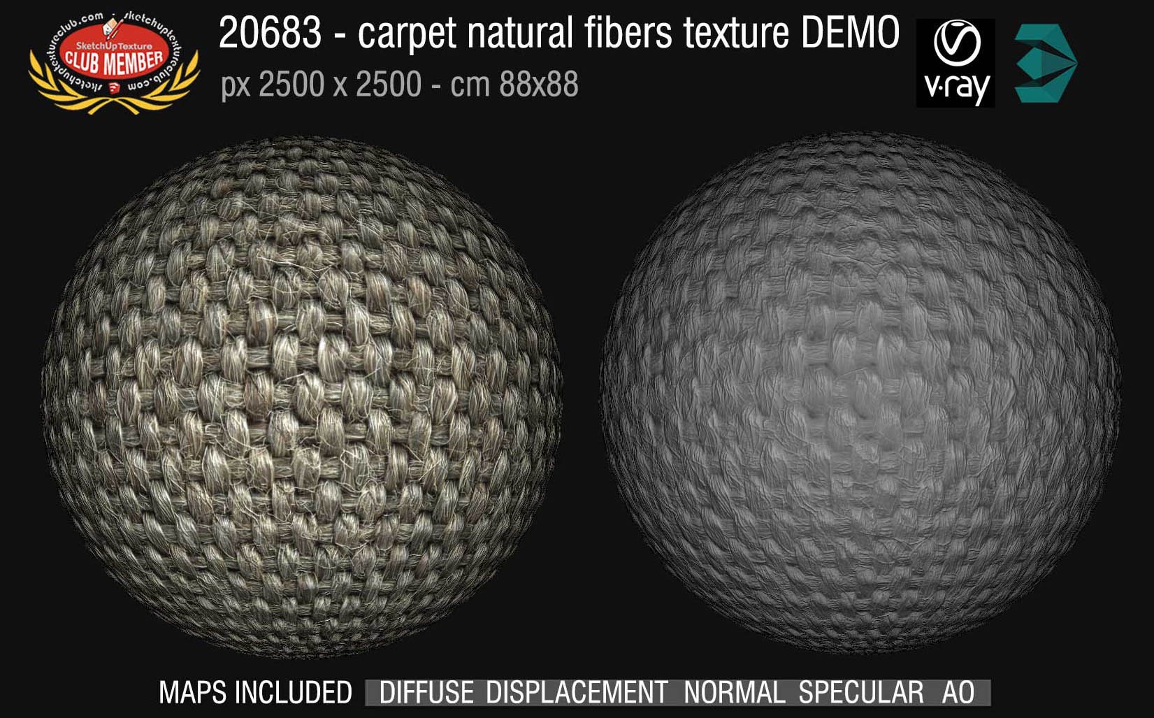 20683 Carpeting natural fibers texture DEMO
