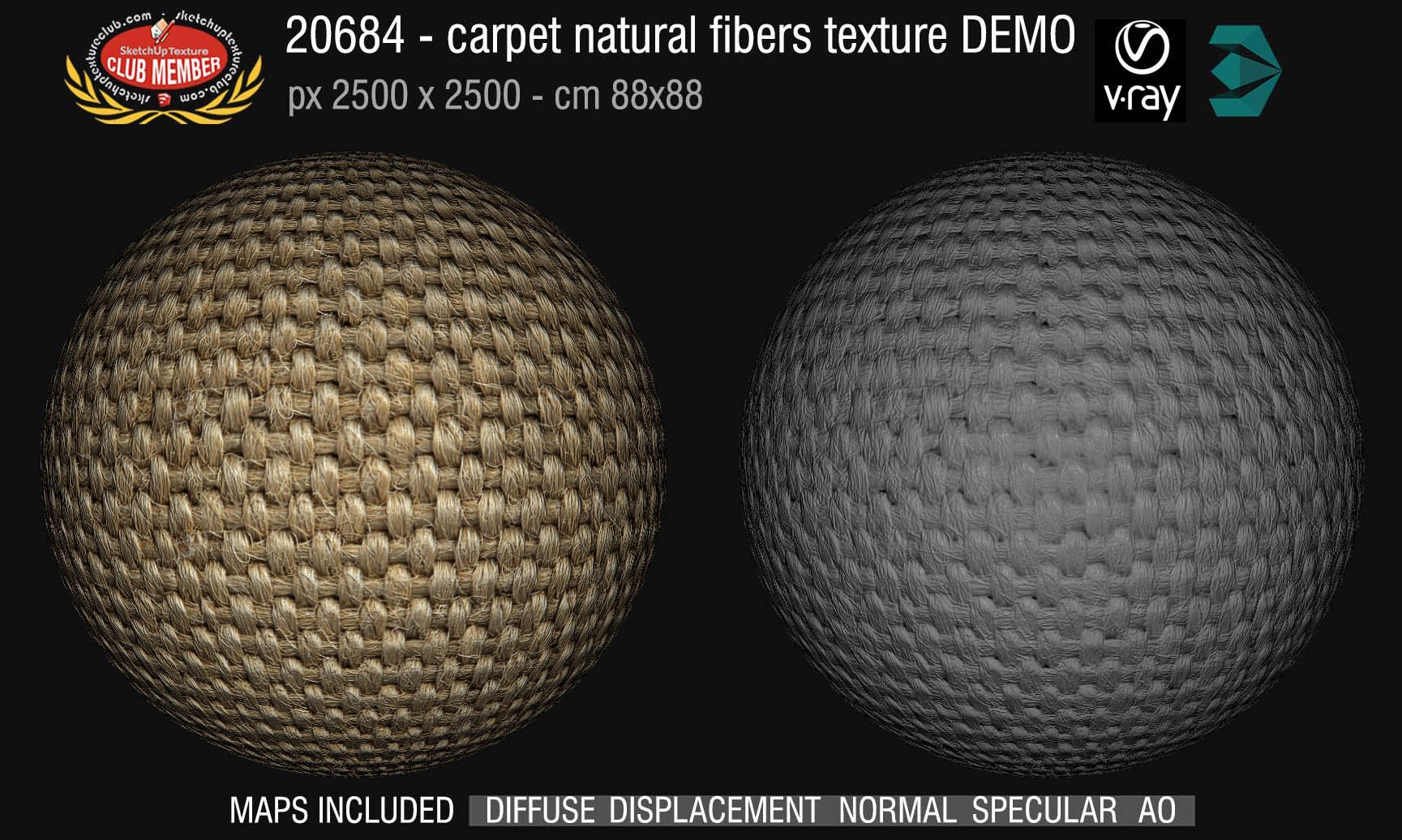 20684 Carpeting natural fibers texture DEMO