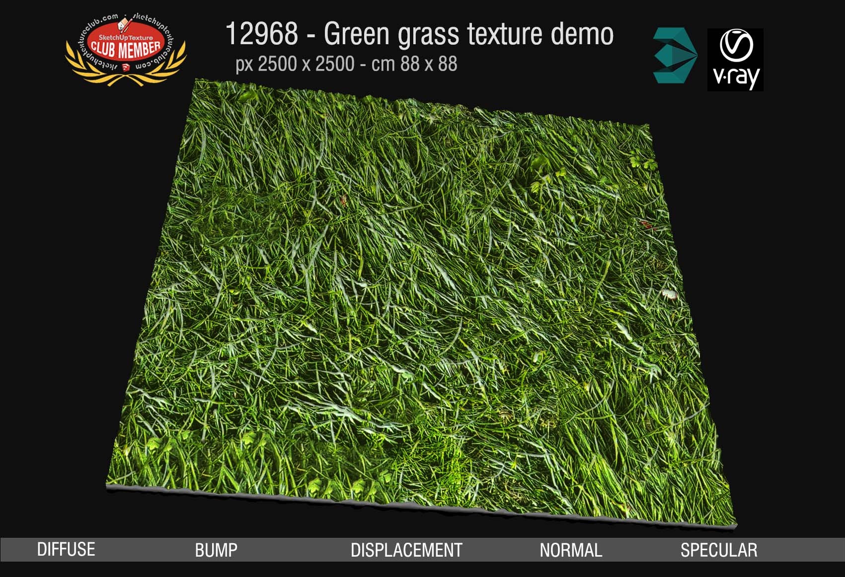 12968 Green grass texture seamless & maps DEMO