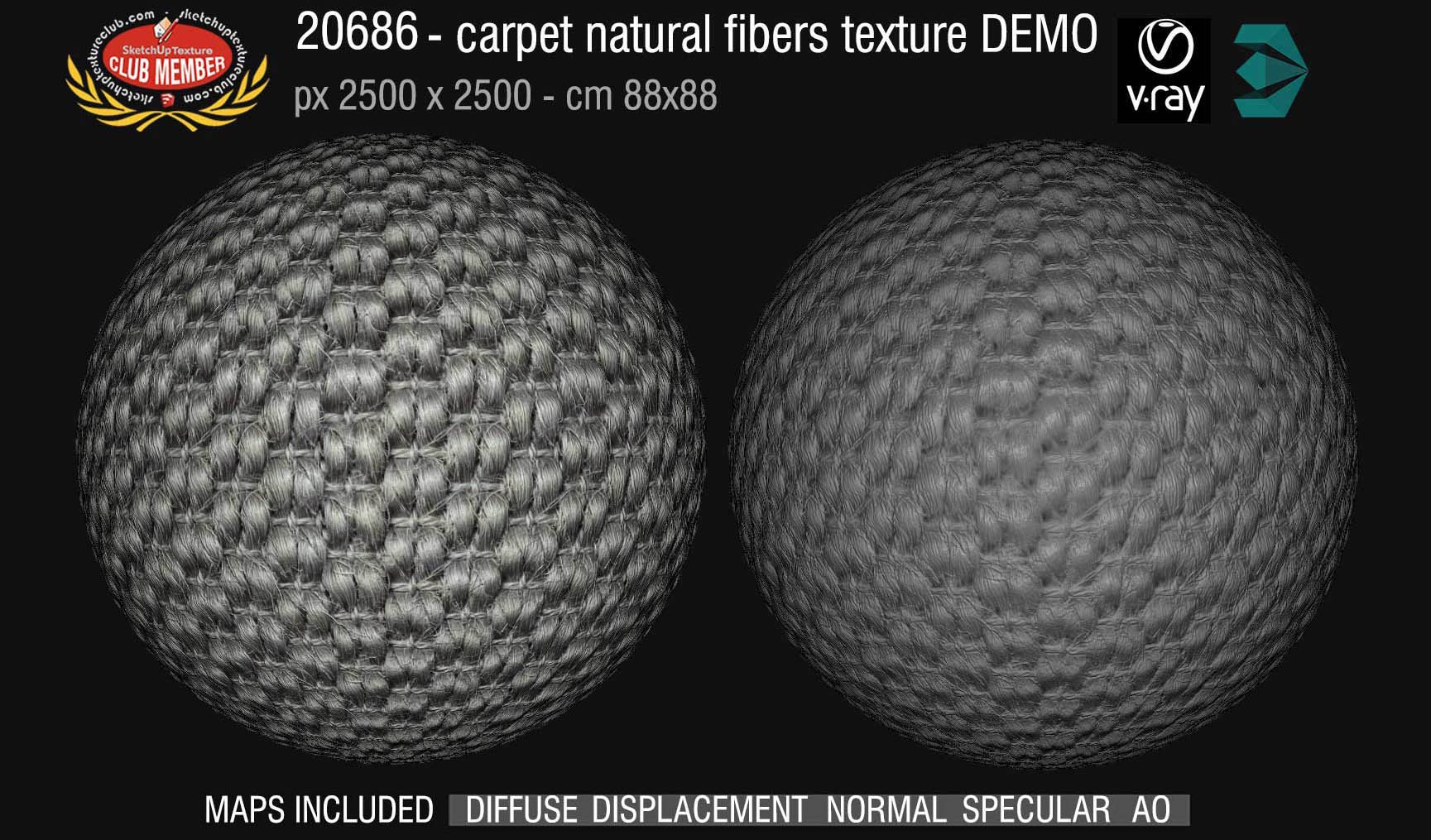 20686 Carpeting natural fibers texture DEMO