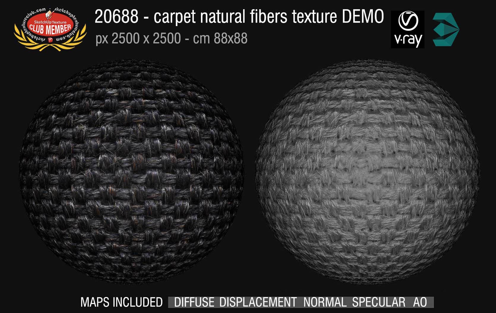 20688 Carpeting natural fibers texture DEMO