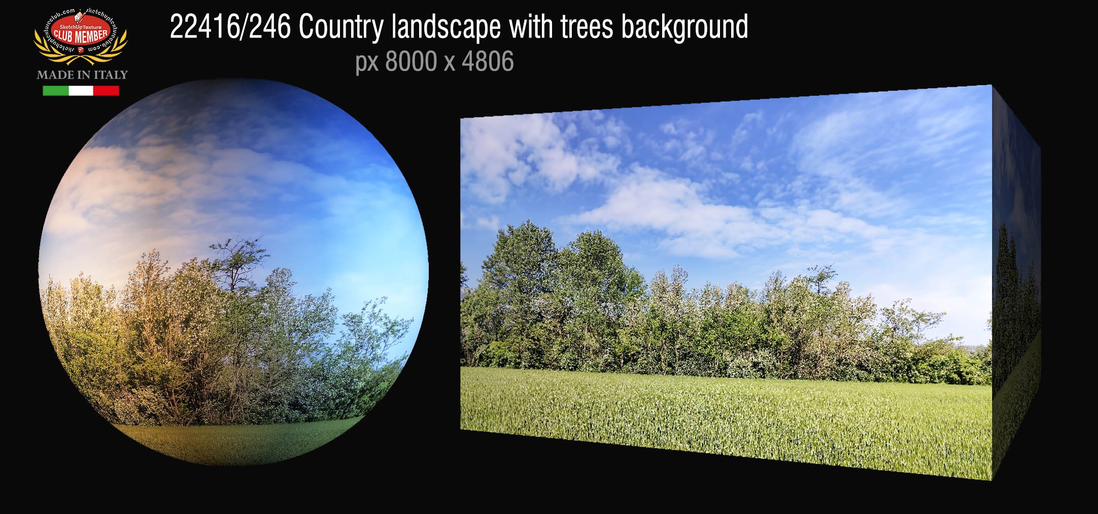 22416_246_Country landscape with trees background preview